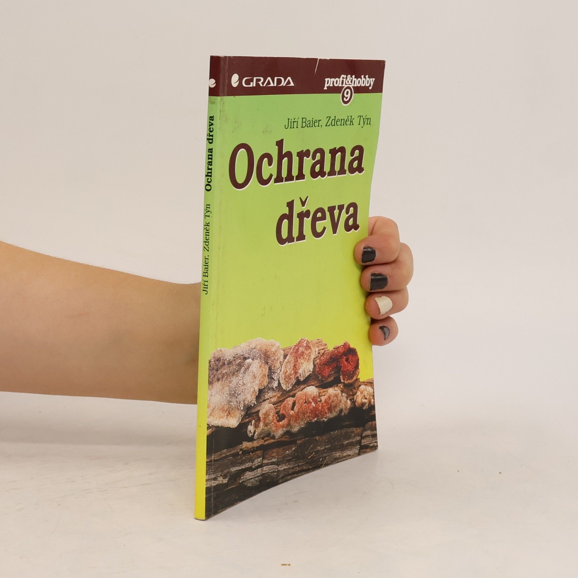 Jiří Baier Ochrana dřeva