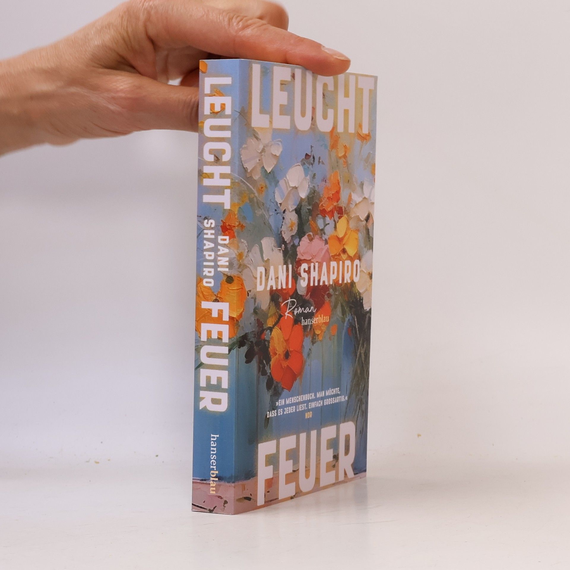 Dani Shapiro Leuchtfeuer
