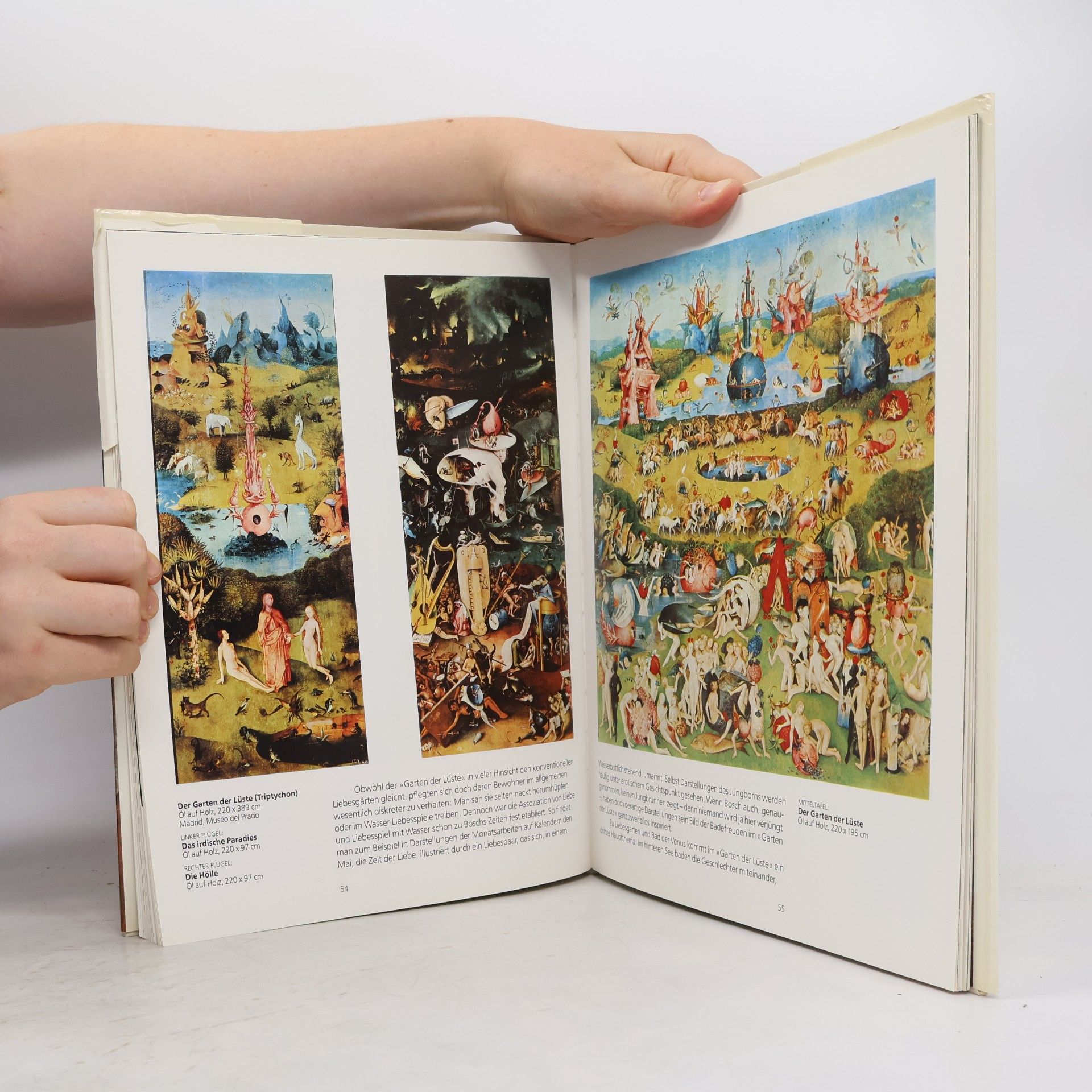 Walter Bosing Hieronymus Bosch