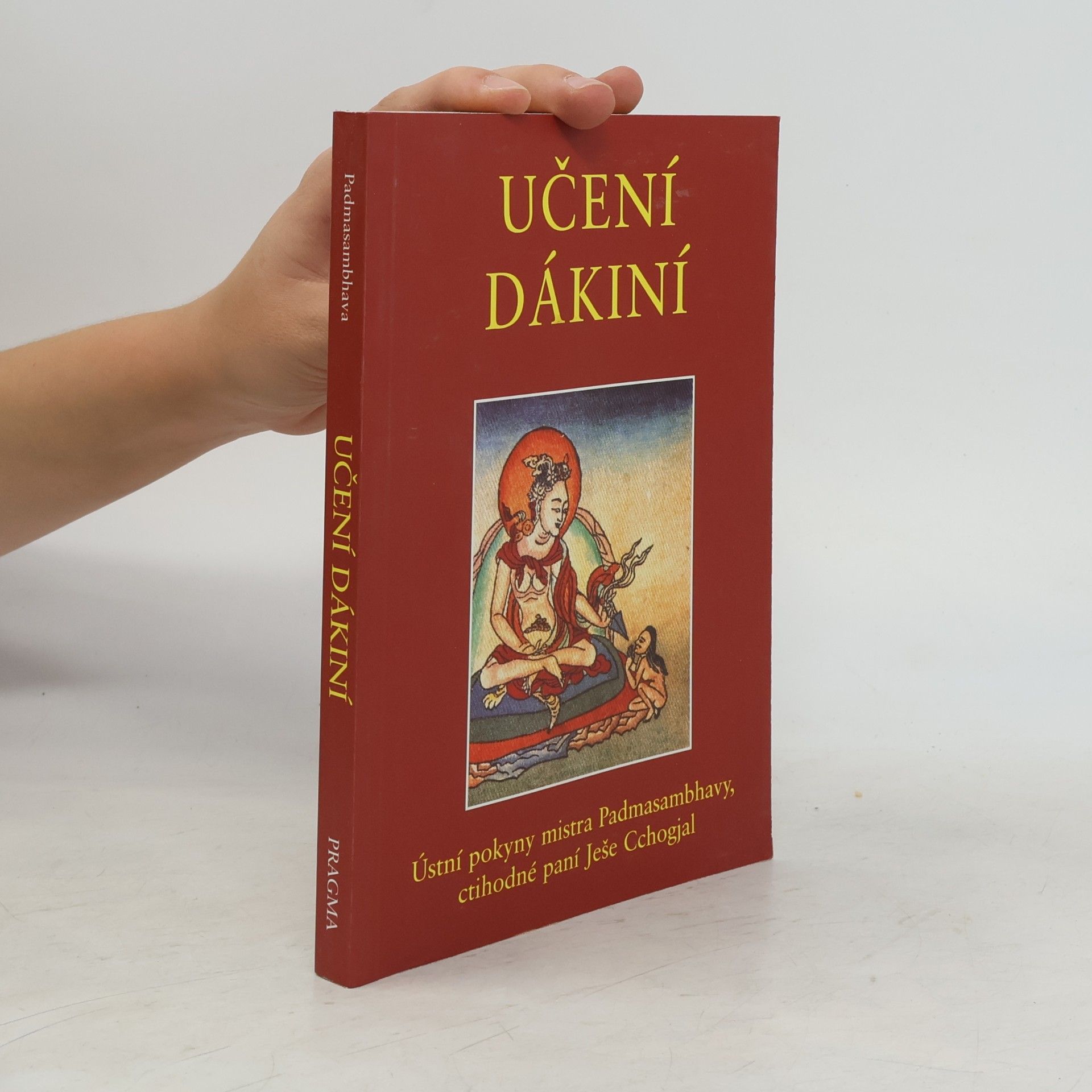 Učení dákiní : ústní pokyny mistra Padmasambhavy ctihodné paní Ješe Cchogjal