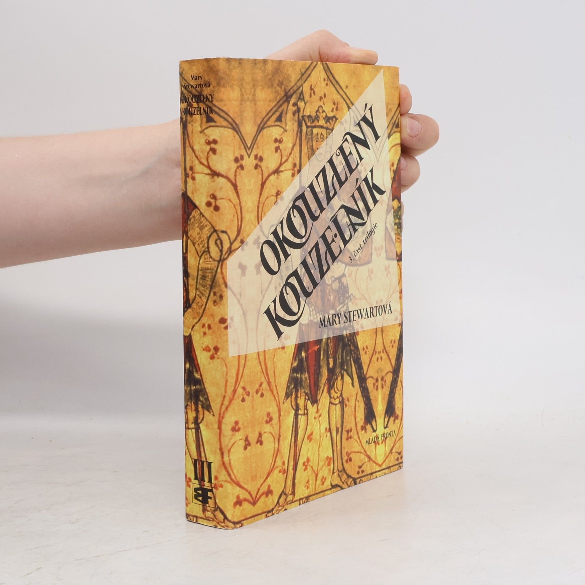 Mary Stewart Okouzlený kouzelník