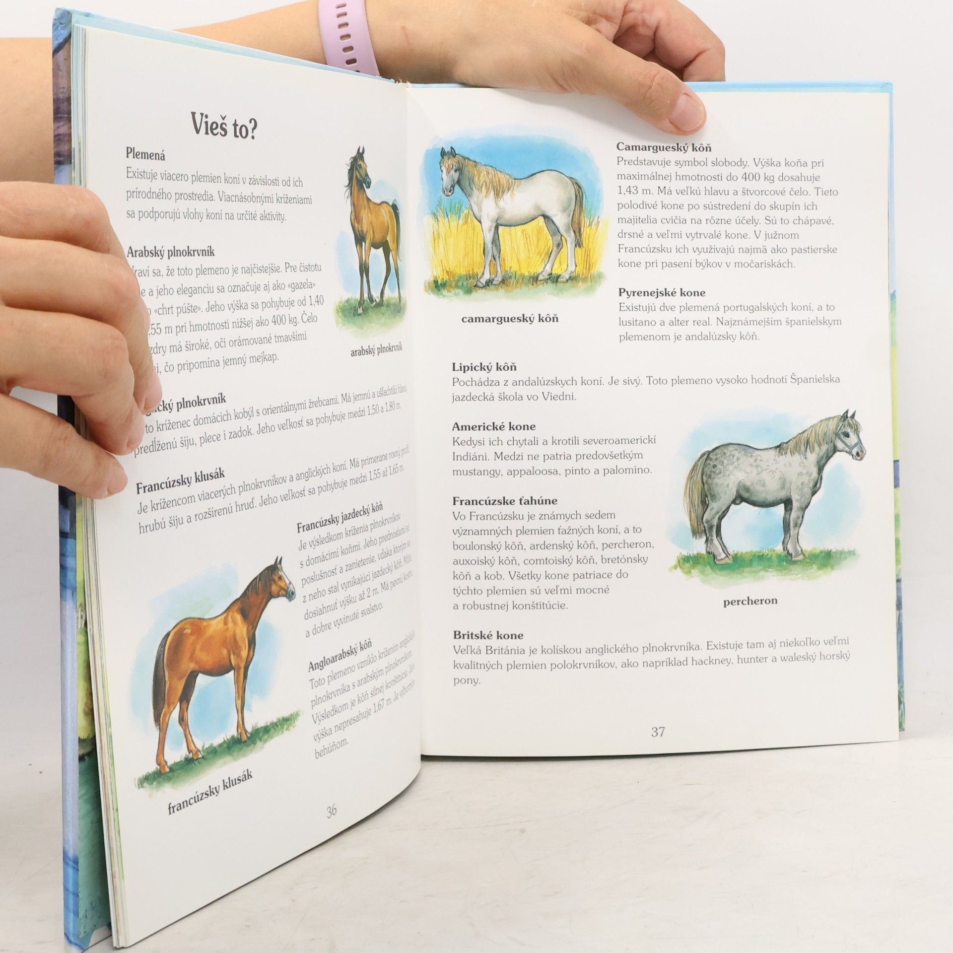 Kolektiv autorů Mesačný galop