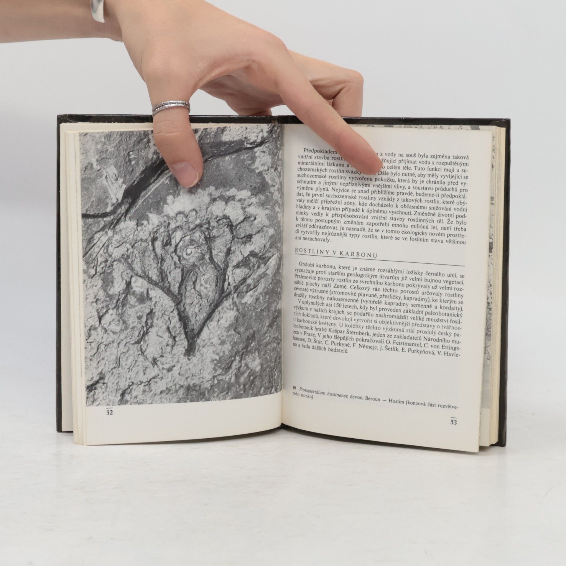 Vladimír Habětín Kapesní atlas zkamenělin