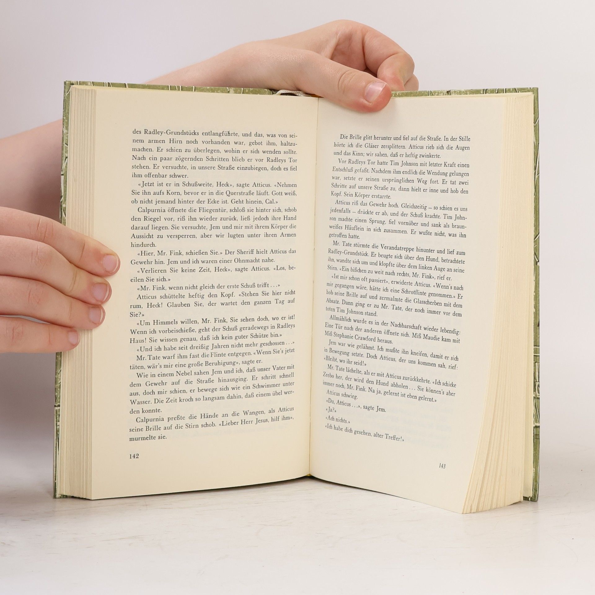 Harper Lee Wer die Nachtigall stört