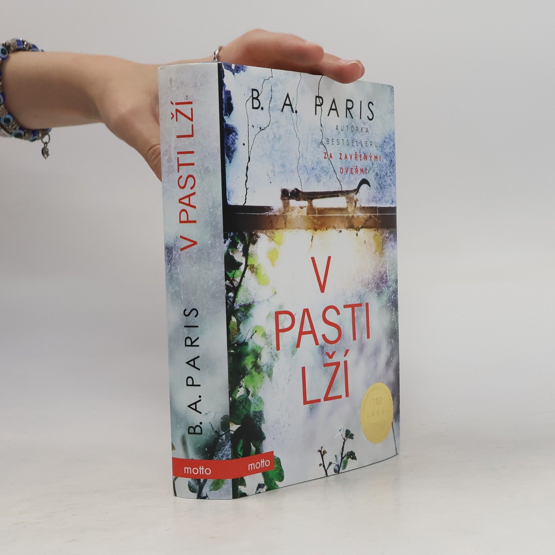 B.A. Paris V pasti lží