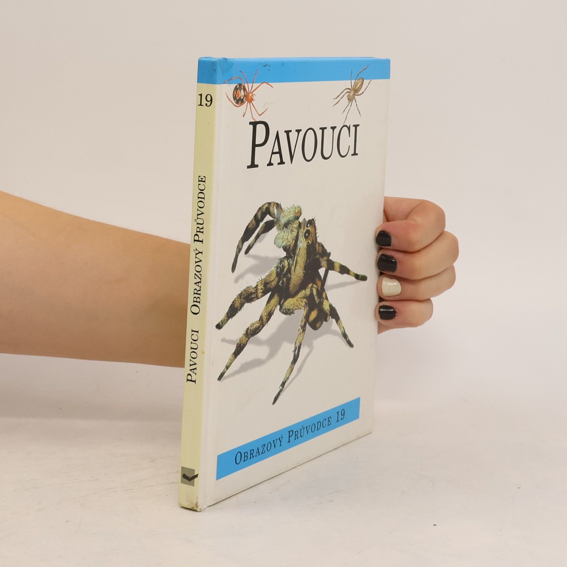Antonín Kůrka Pavouci