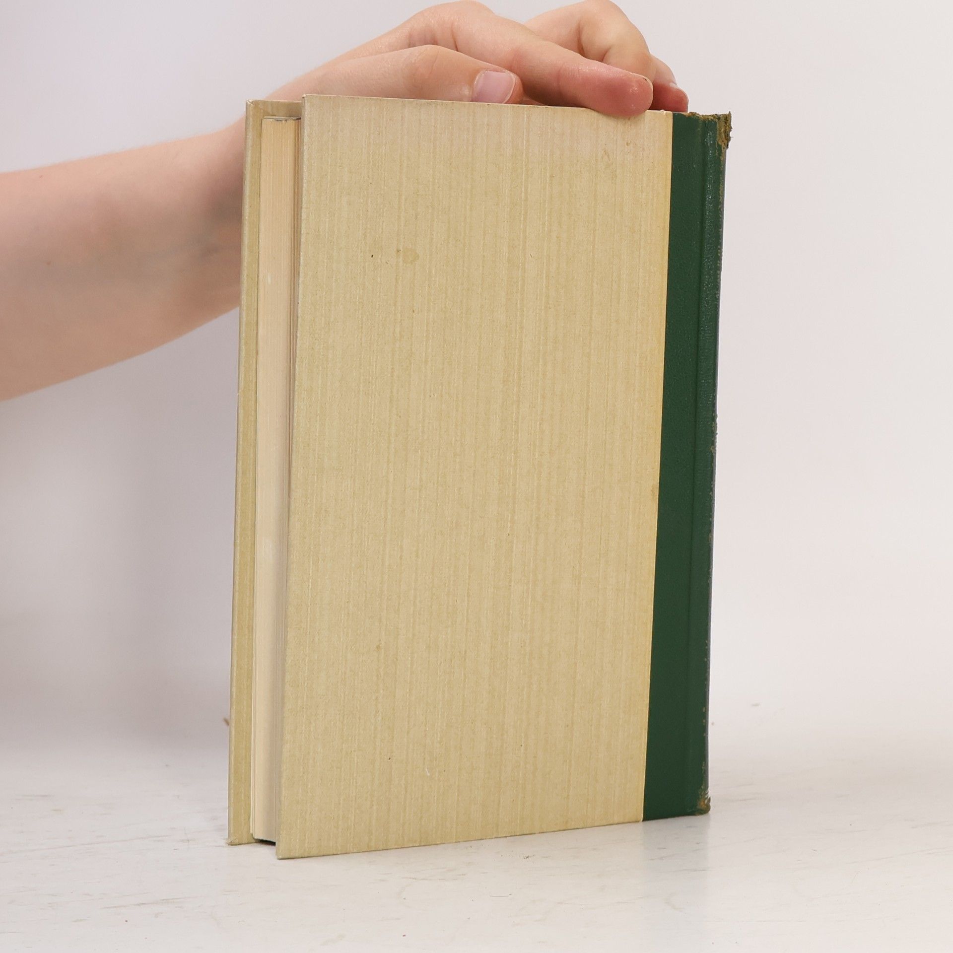 Robert Louis Stevenson Die Entführung