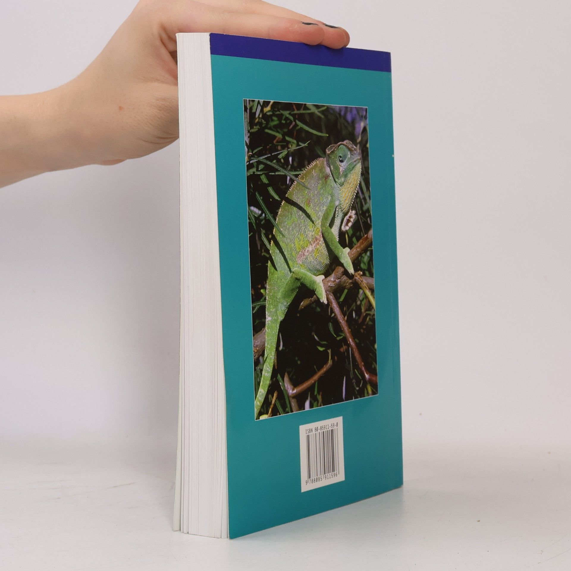 Richard Kraus Chameleoni a gekoni