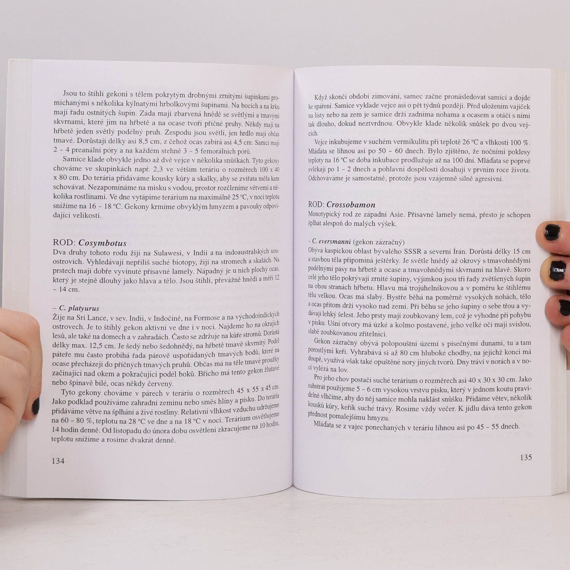 Richard Kraus Chameleoni a gekoni
