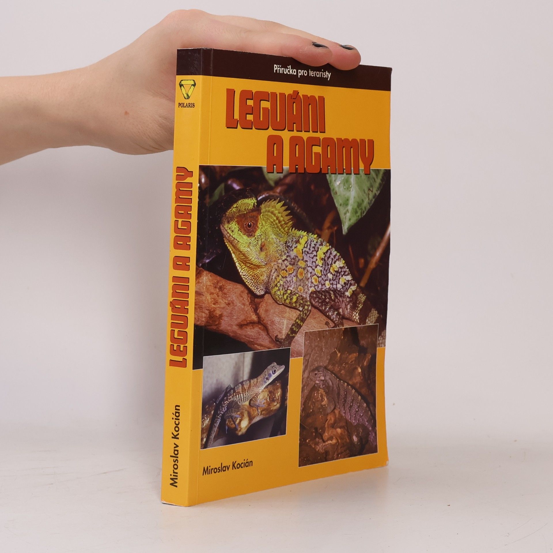 Leguáni a agamy : příručka pro teraristy