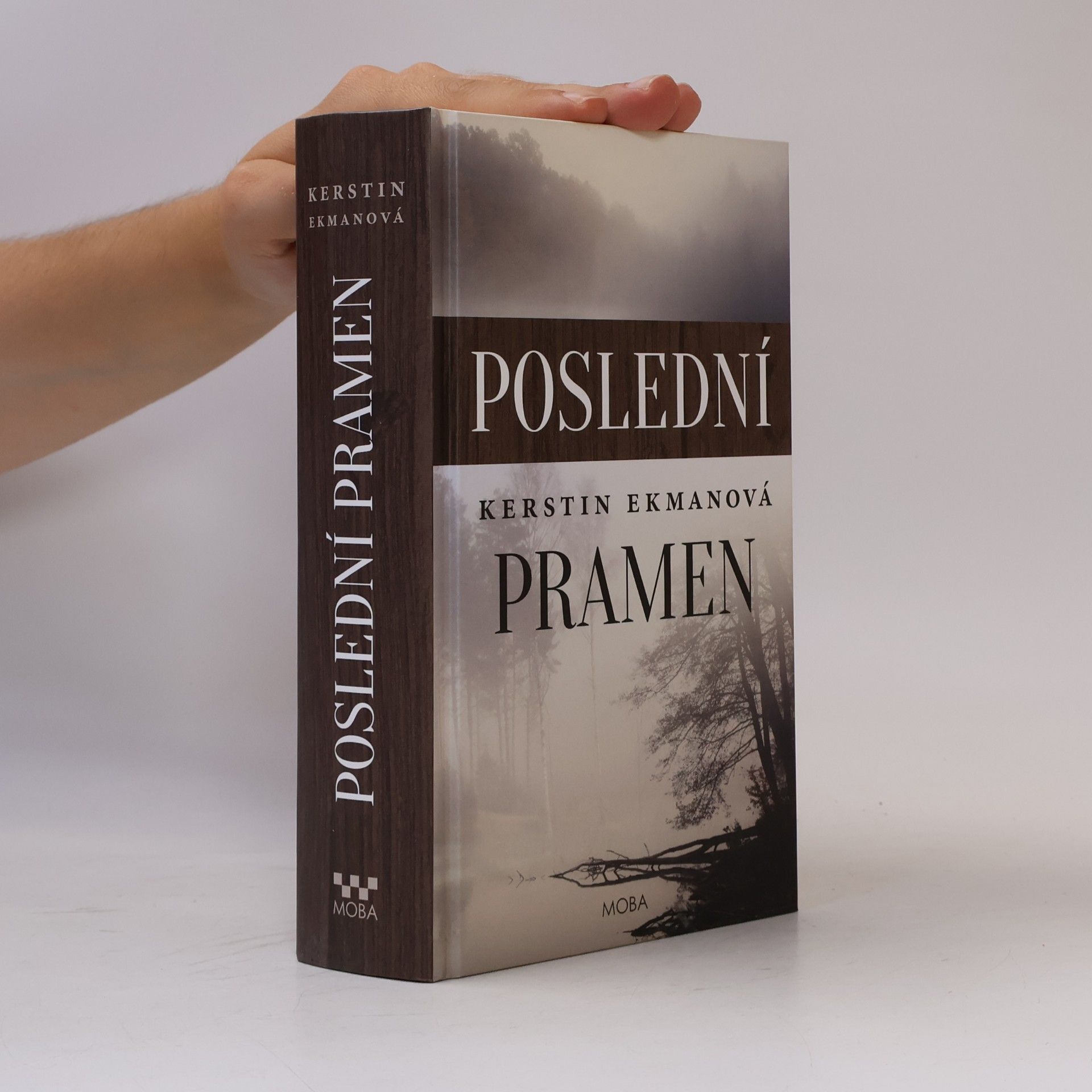 Kerstin Ekman Poslední pramen