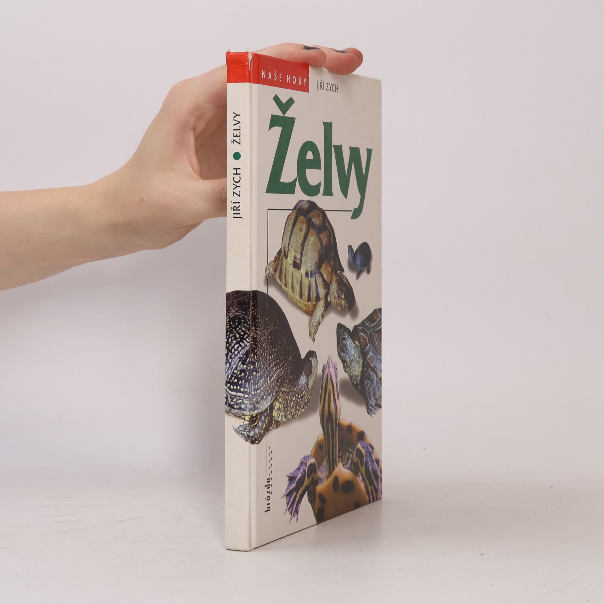 Jiří Zych Želvy