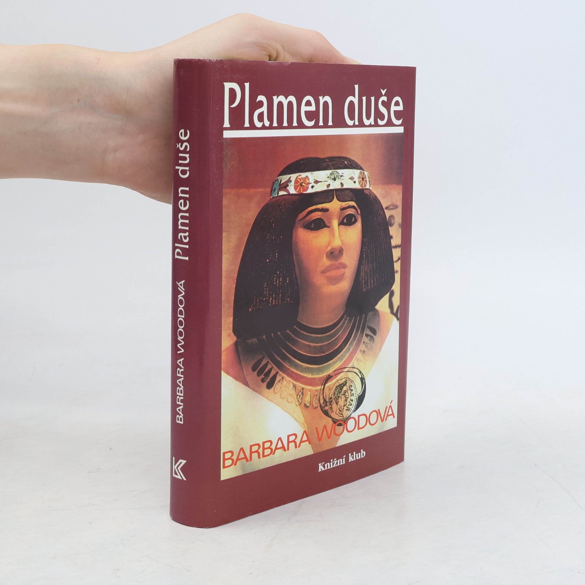 Barbara Wood Plamen duše