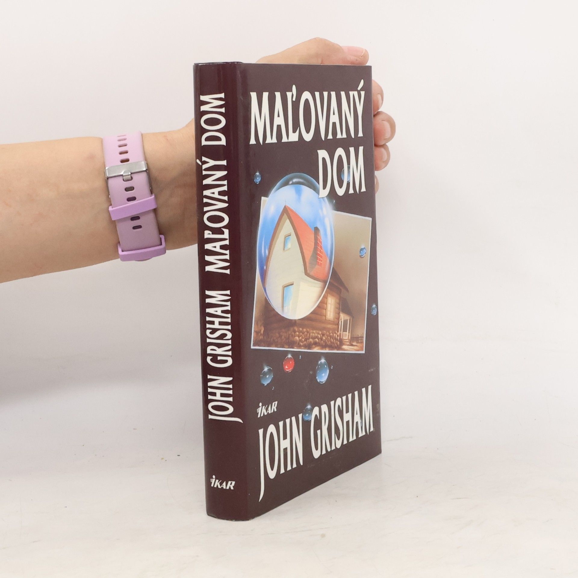 John Grisham Maľovaný dom