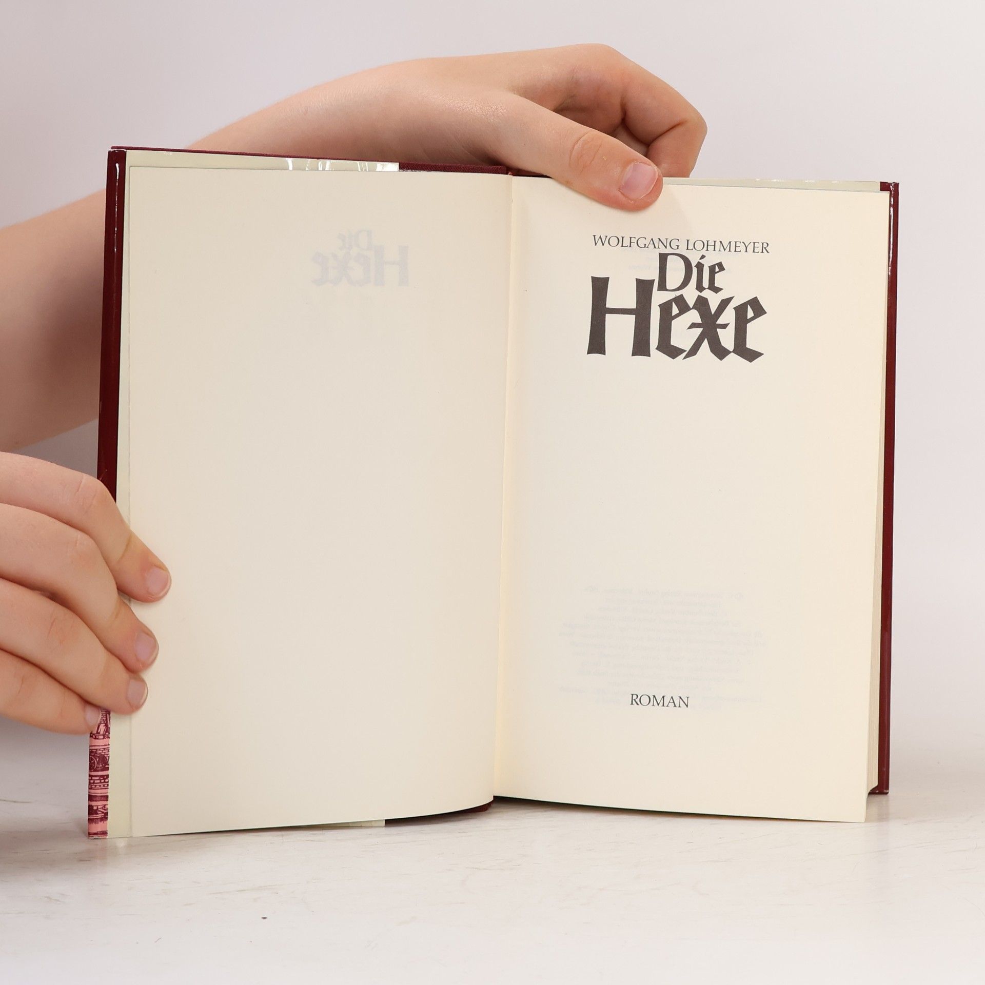Wolfgang Lohmeyer Die Hexe