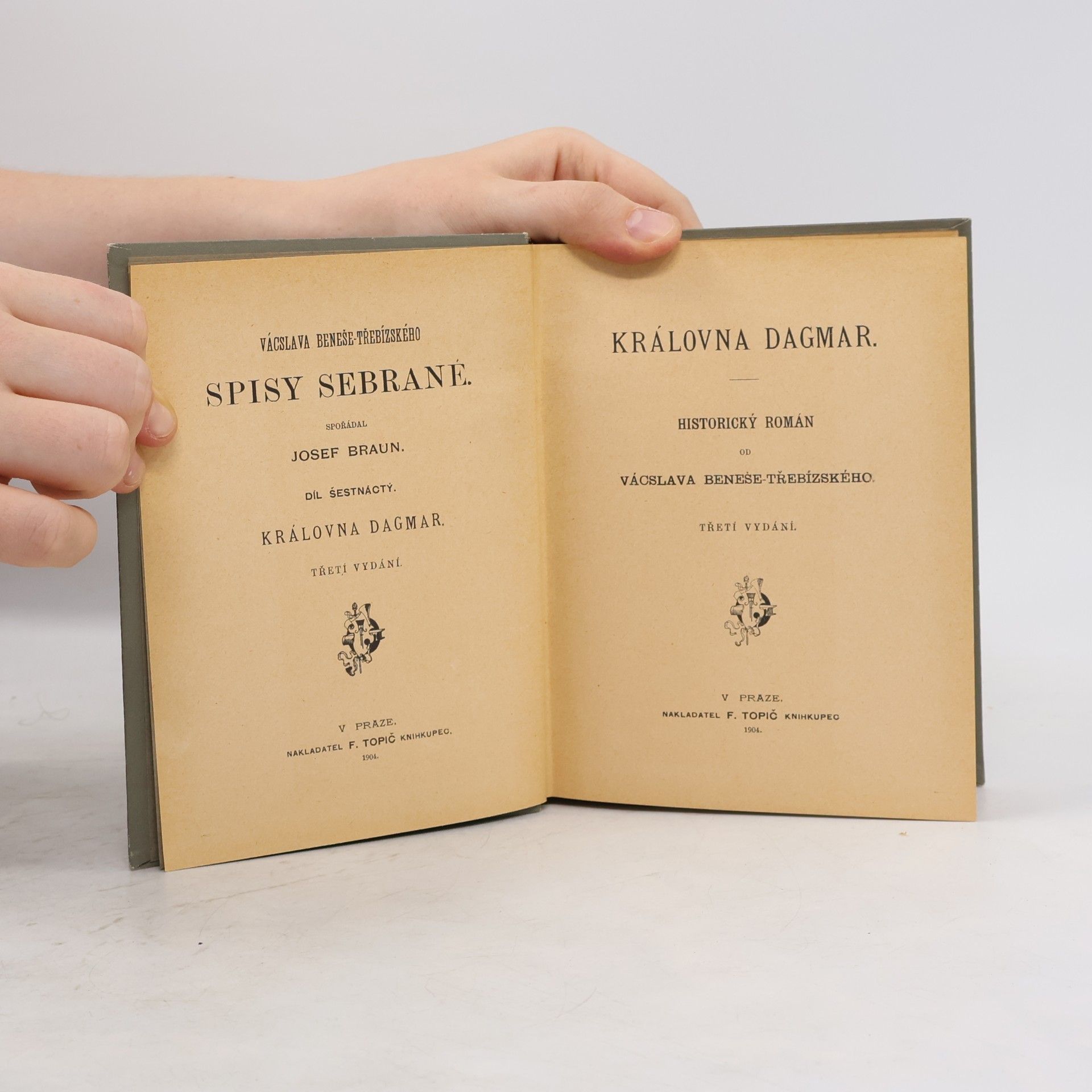 Václav Beneš Třebízský Královna Dagmar