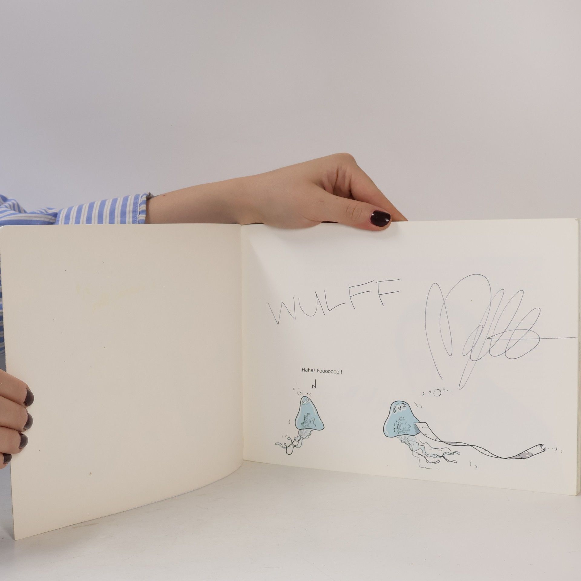 Mikael Wulff Wulffmorgenthaler