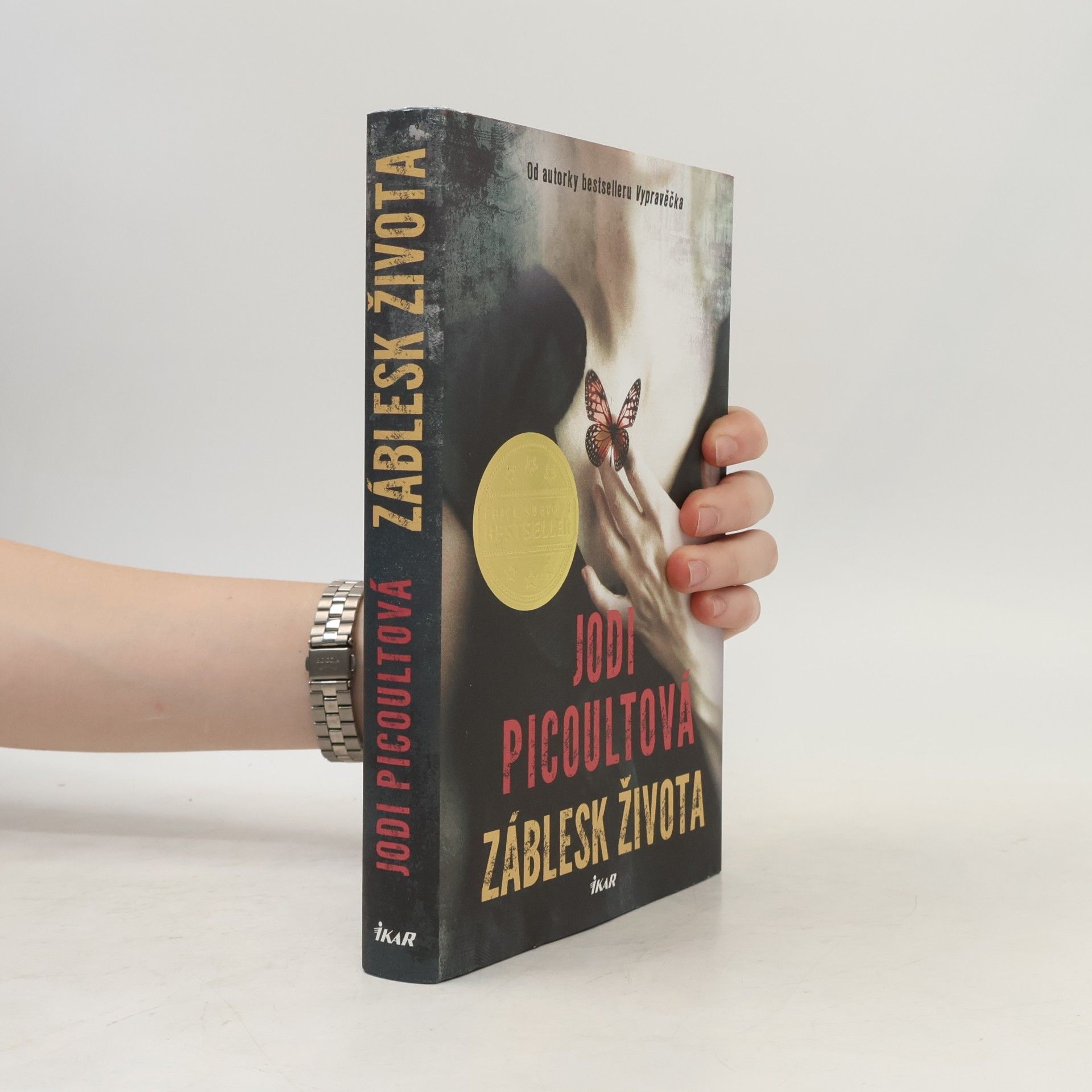 Jodi Picoult Záblesk života