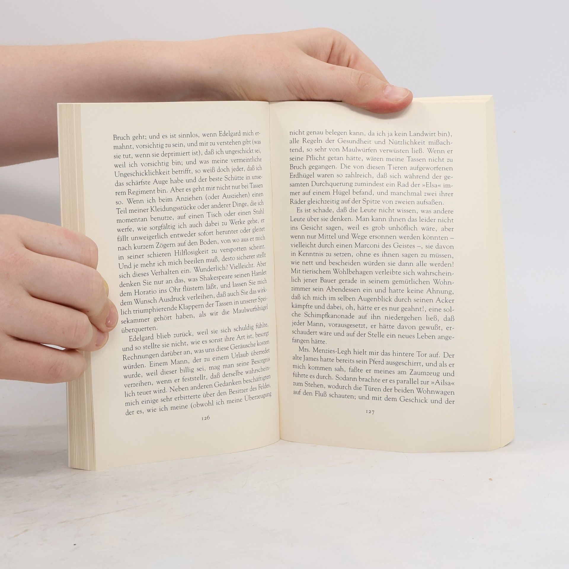 Elizabeth von Arnim Die Reisegesellschaft