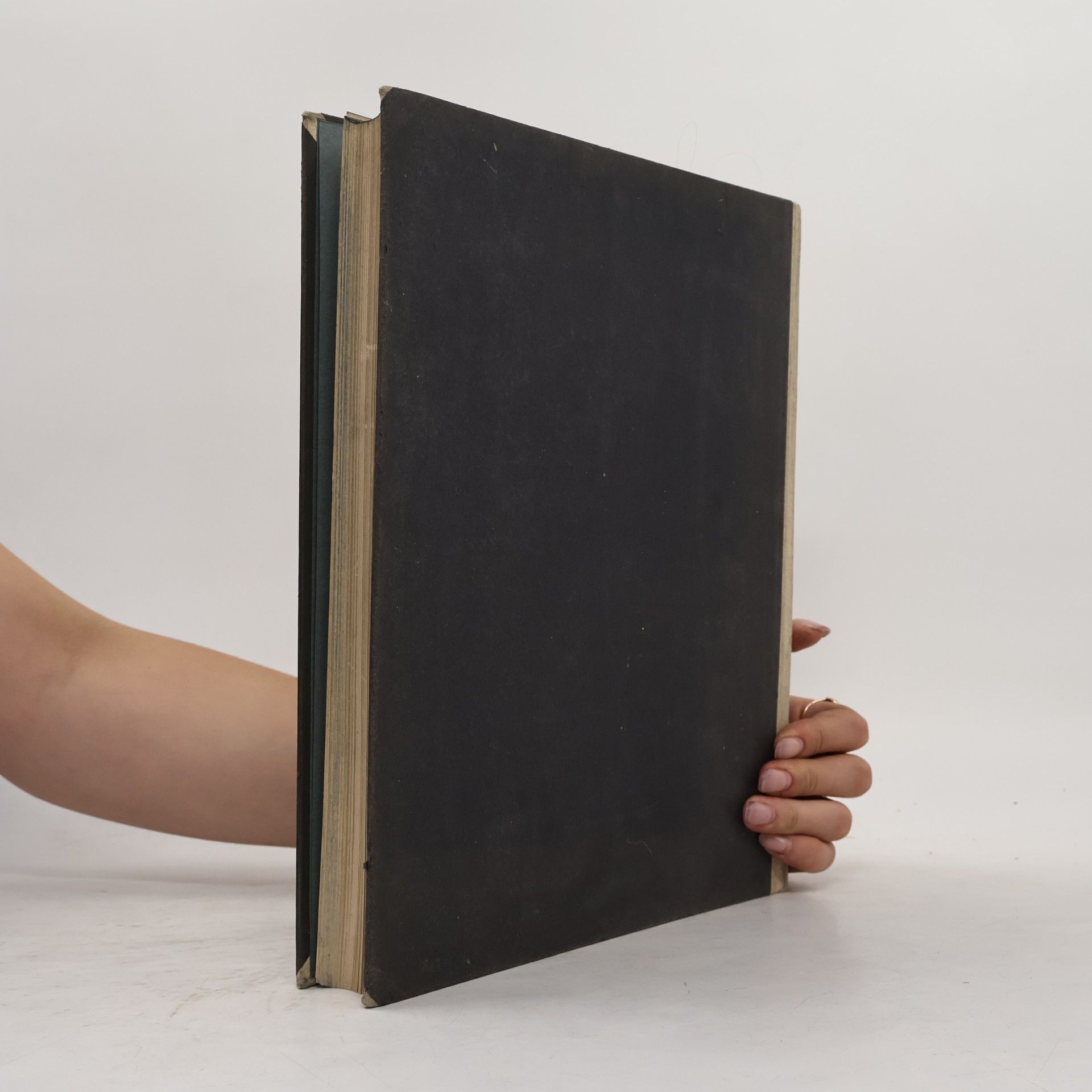 Martin Wackernagel andbuch der Kunstwissenschaft. Baukunst des 17. und 18. Jahrhunderts in den germanischen Ländern