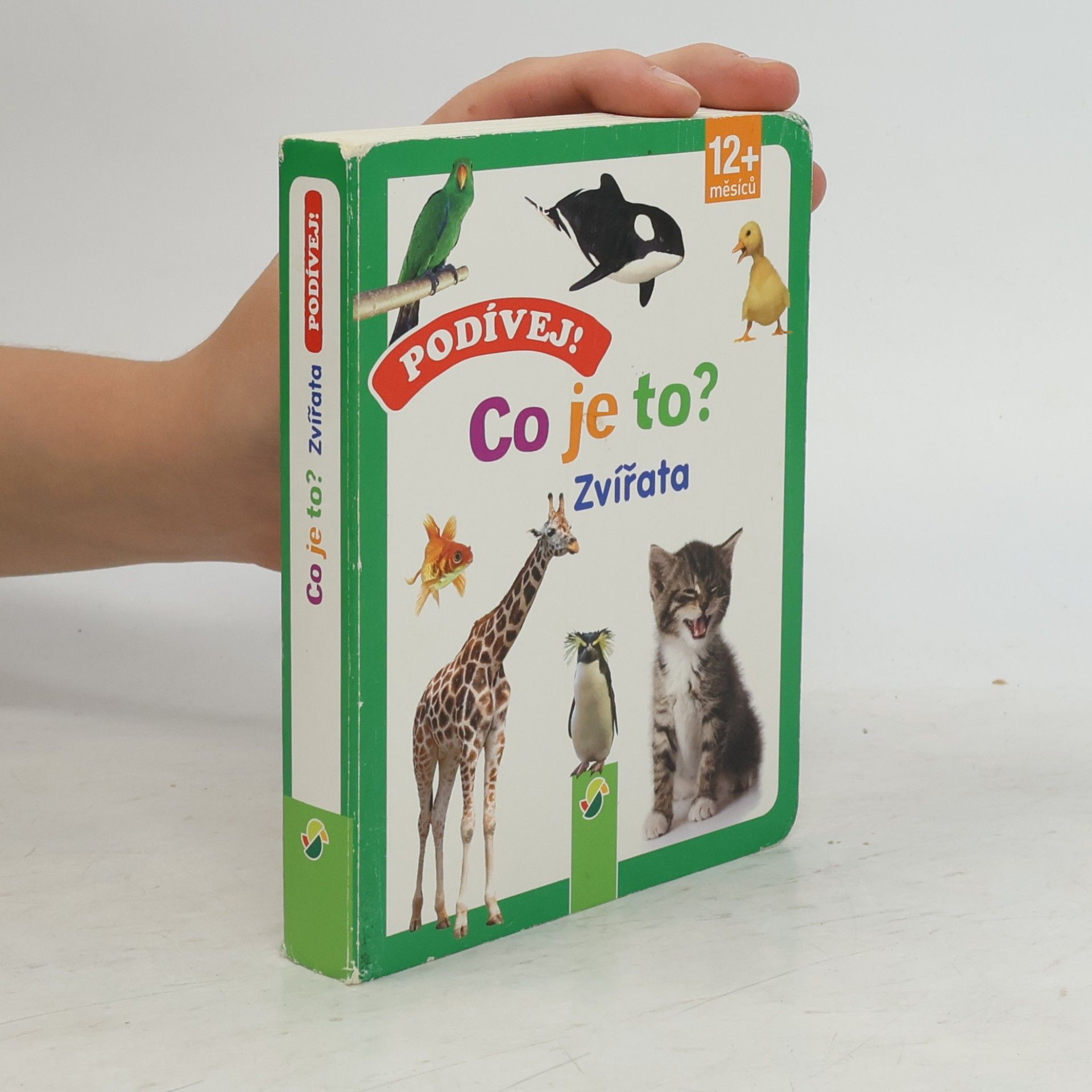 Kolektiv autorů Podívej! Co je to? - Zvířata