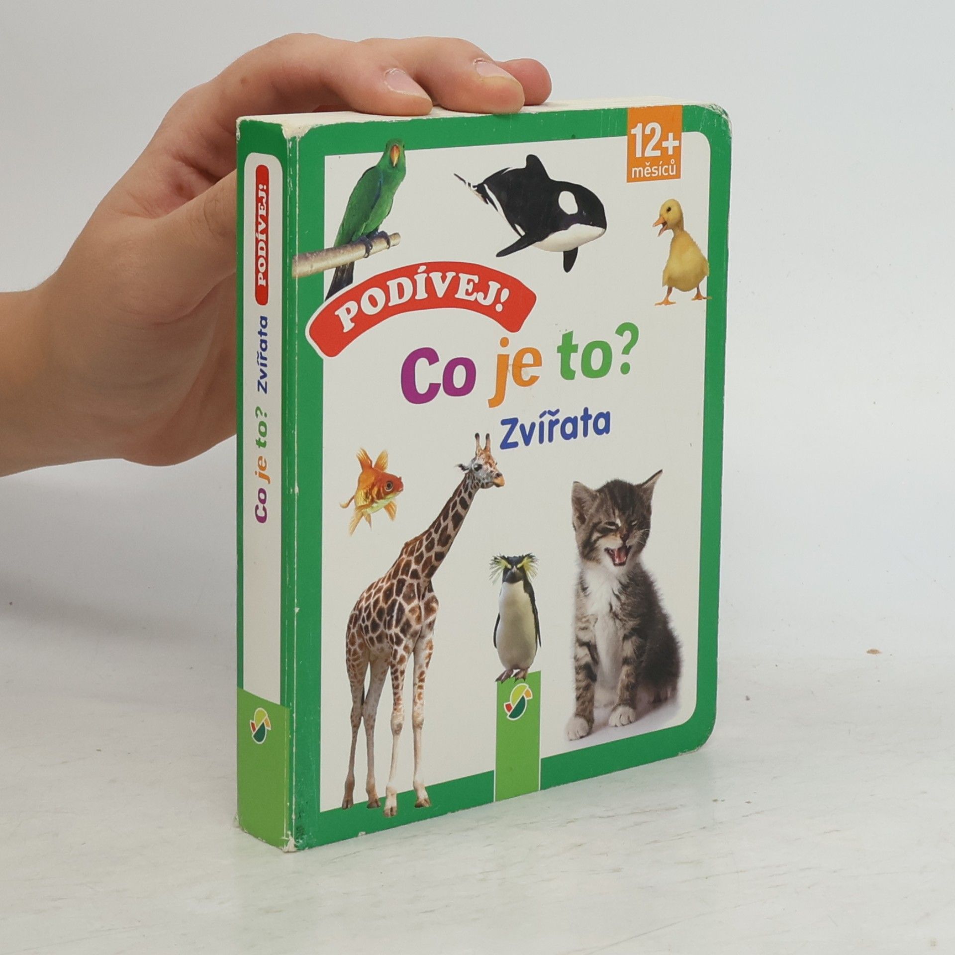 Kolektiv autorů Podívej! Co je to? - Zvířata
