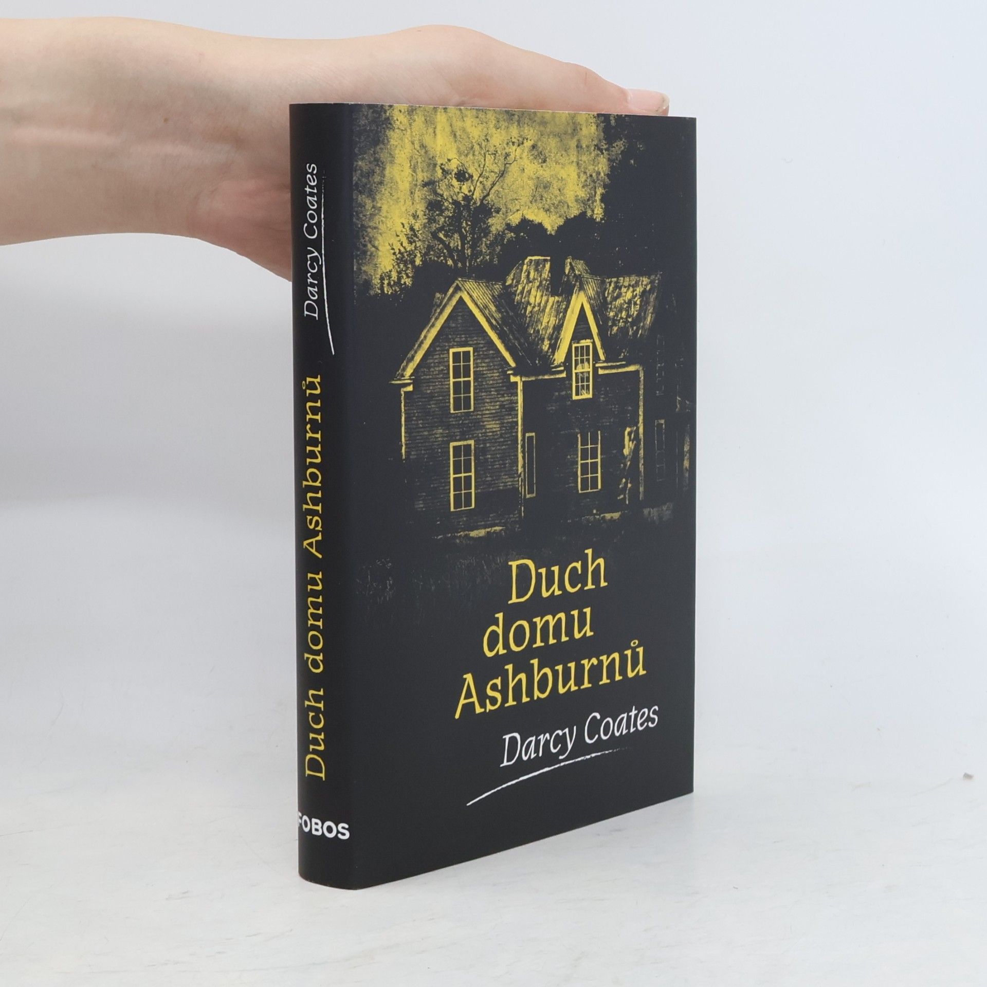 Darcy Coates Duch domu Ashburnů