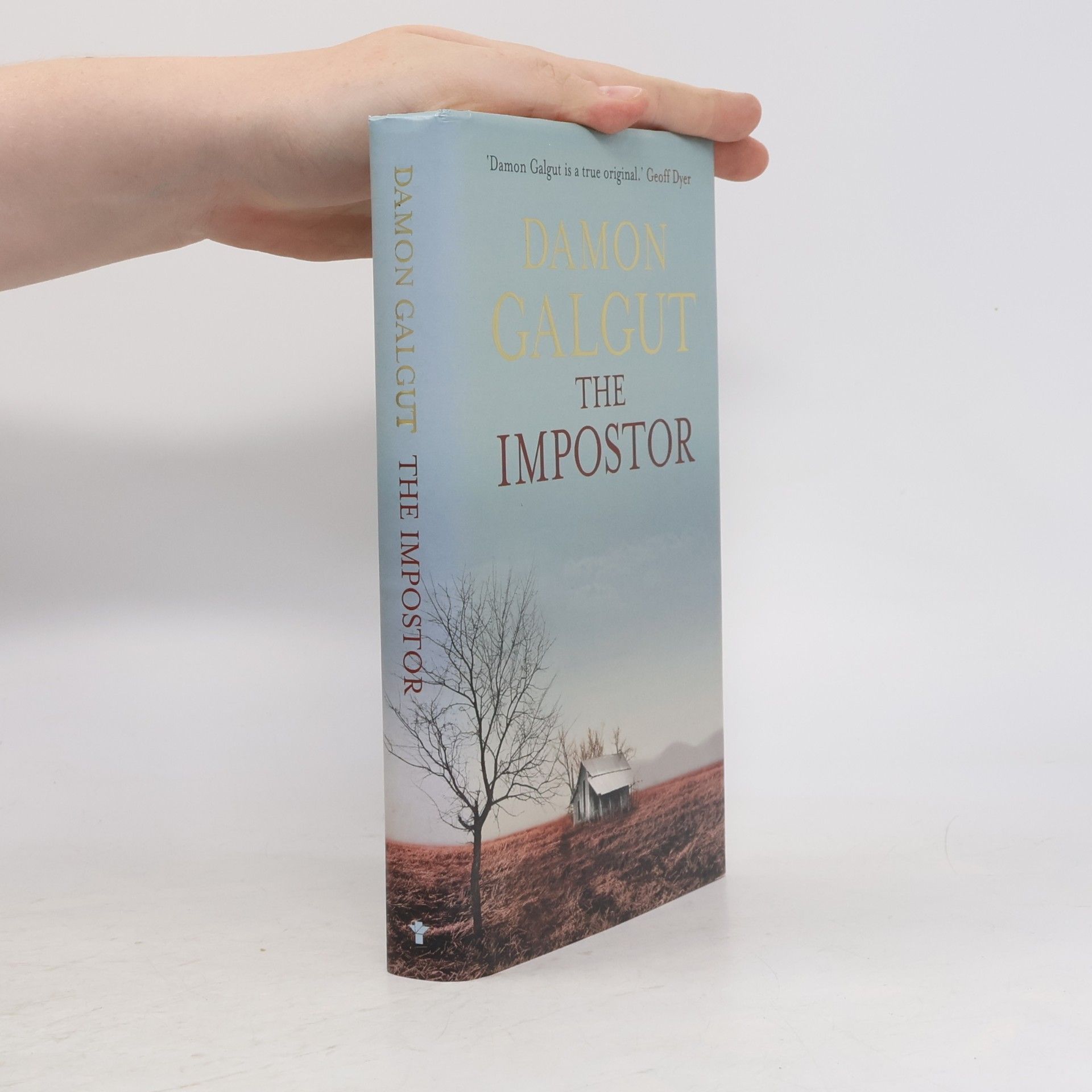 Damon Galgut The Impostor