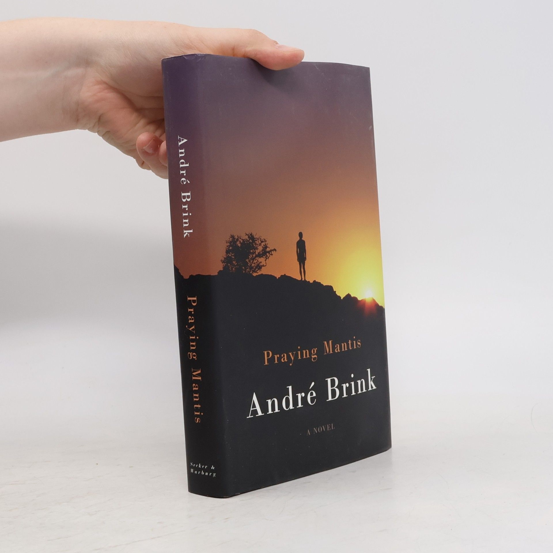 André Brink Praying Mantis