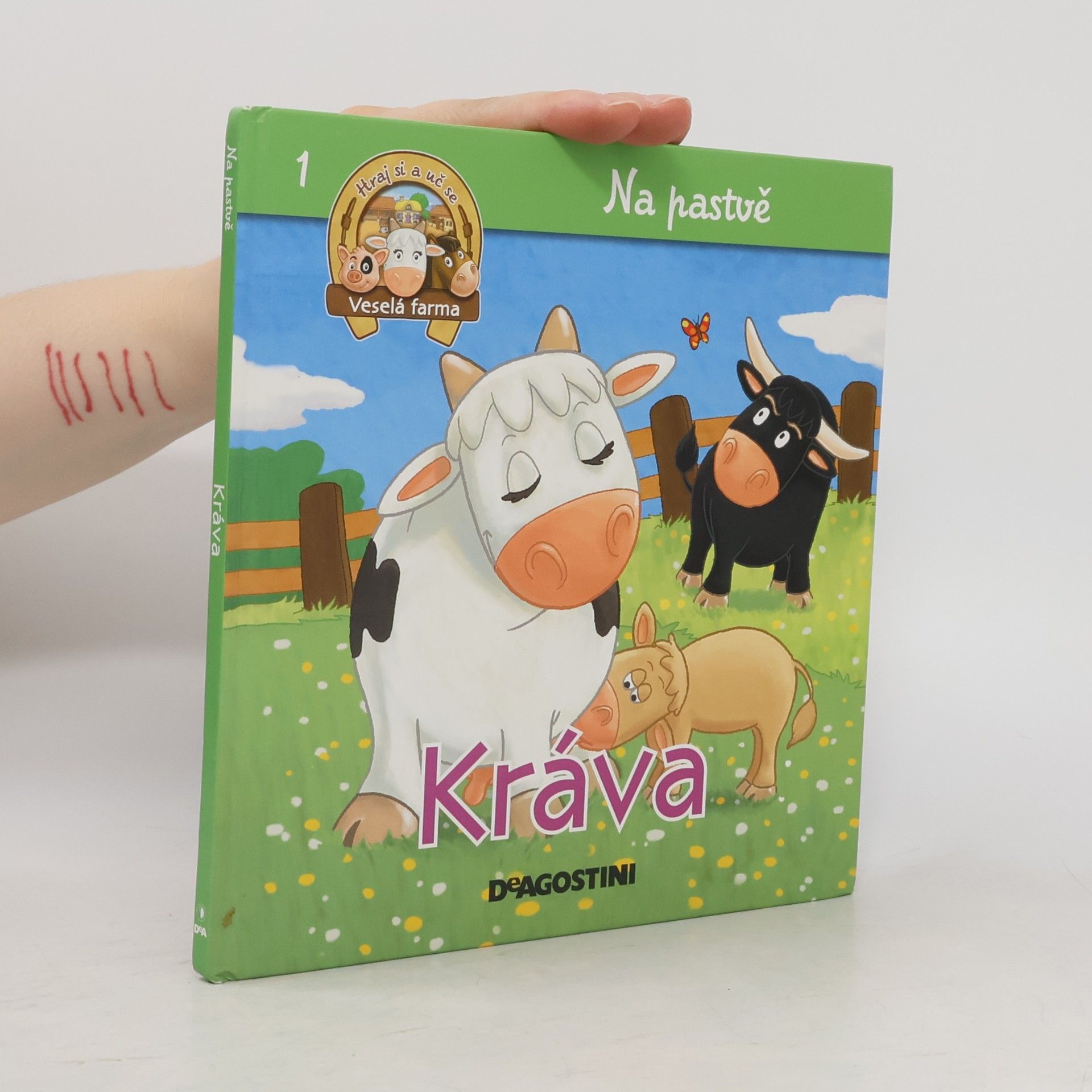 Tereza Vlachová Kráva, tele, býk a vůl