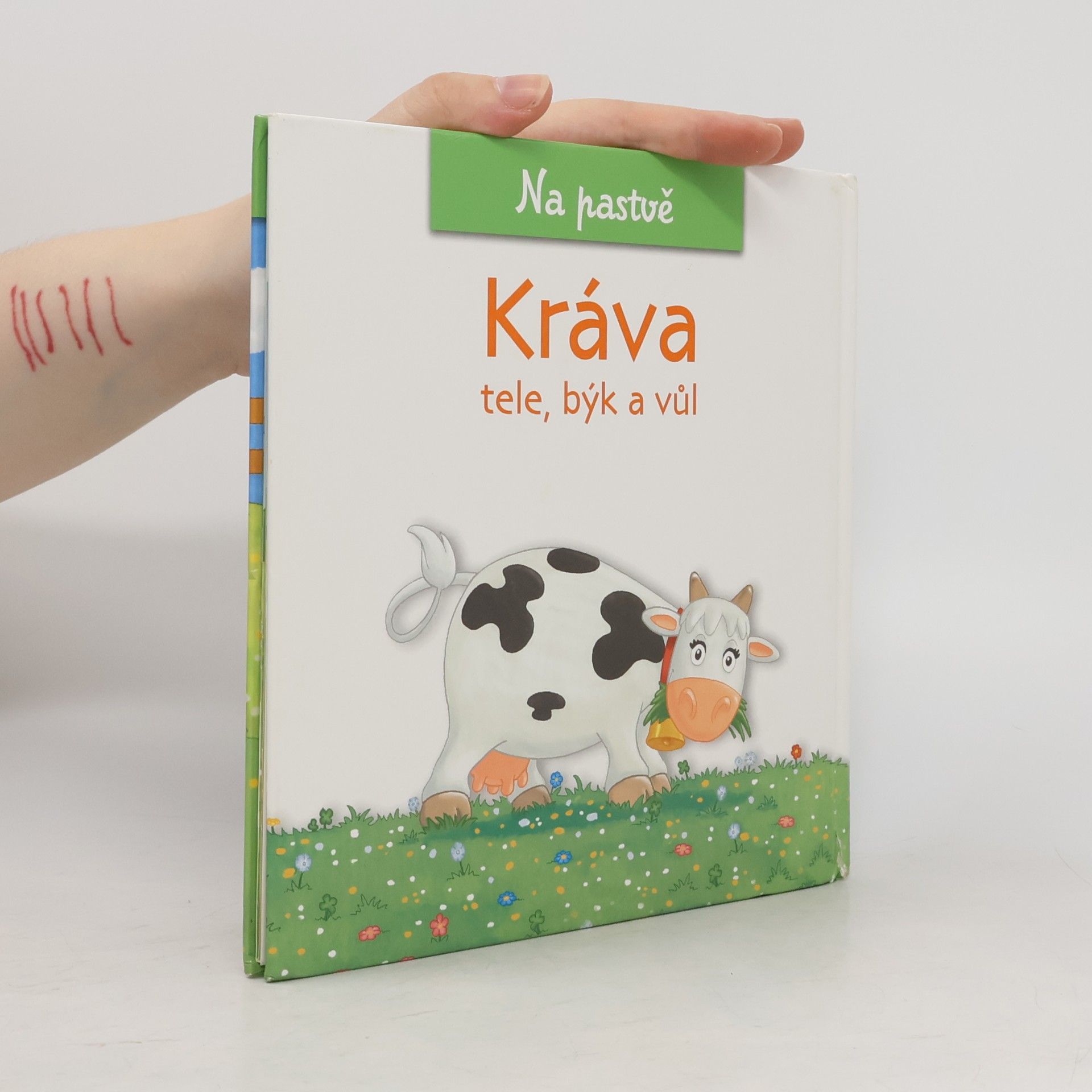 Christine Serbource Kráva, tele, býk a vůl