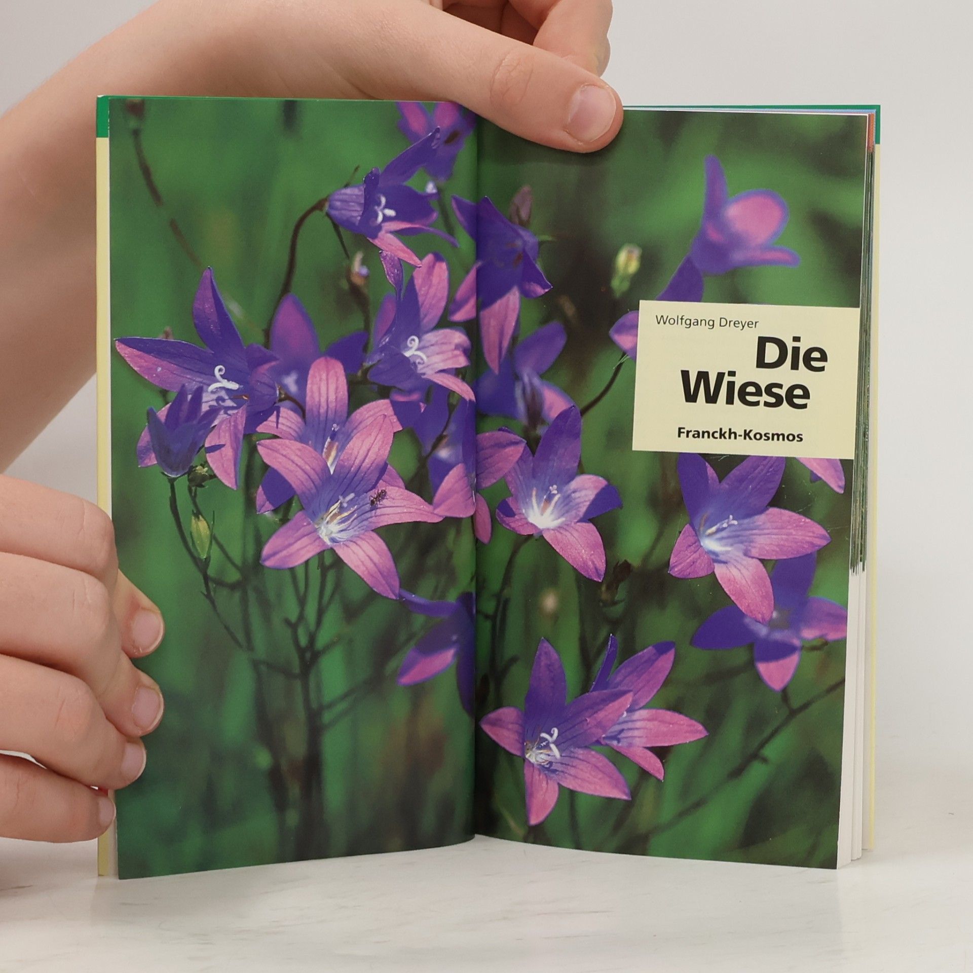 Wolfgang Dreyer Die Wiese: Tiere und Pflanzen