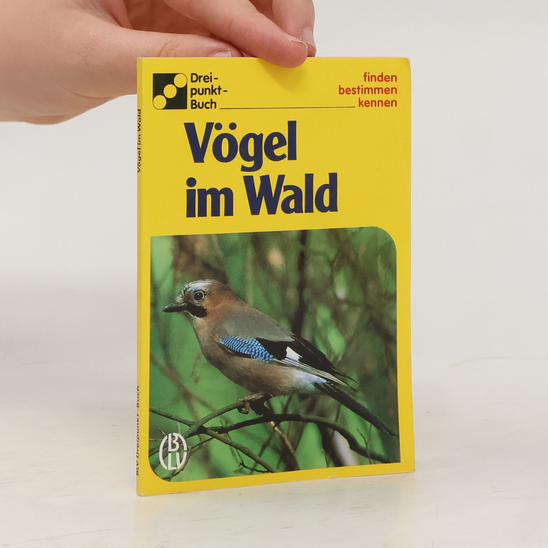 Ute E. Zimmer Vögel im Wald