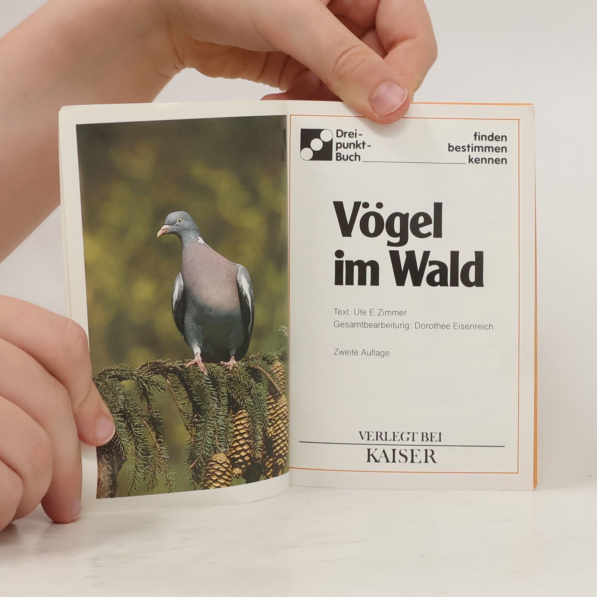 Ute E. Zimmer Vögel im Wald