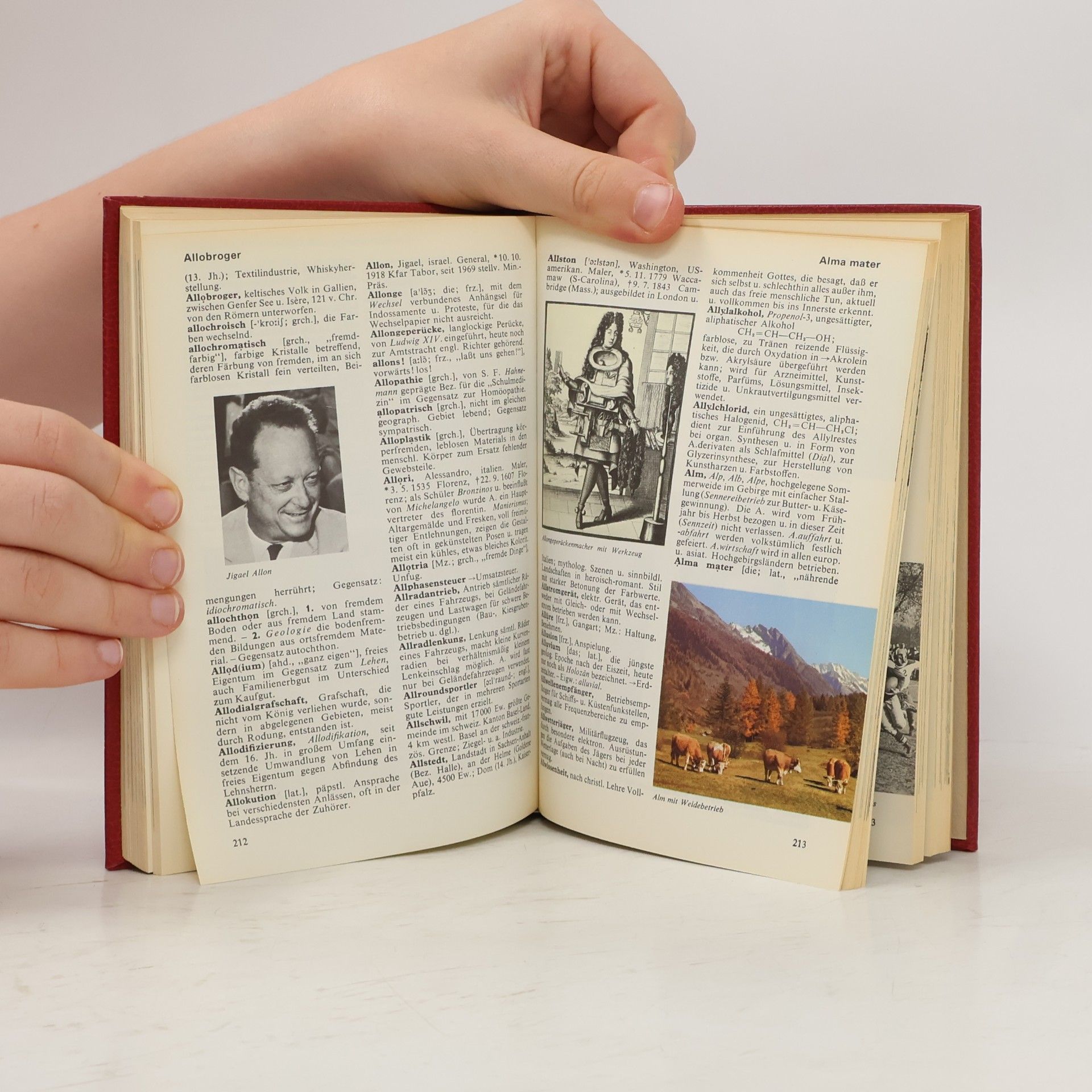 Autorenkollektiv Das moderne Lexikon 1. A-Art