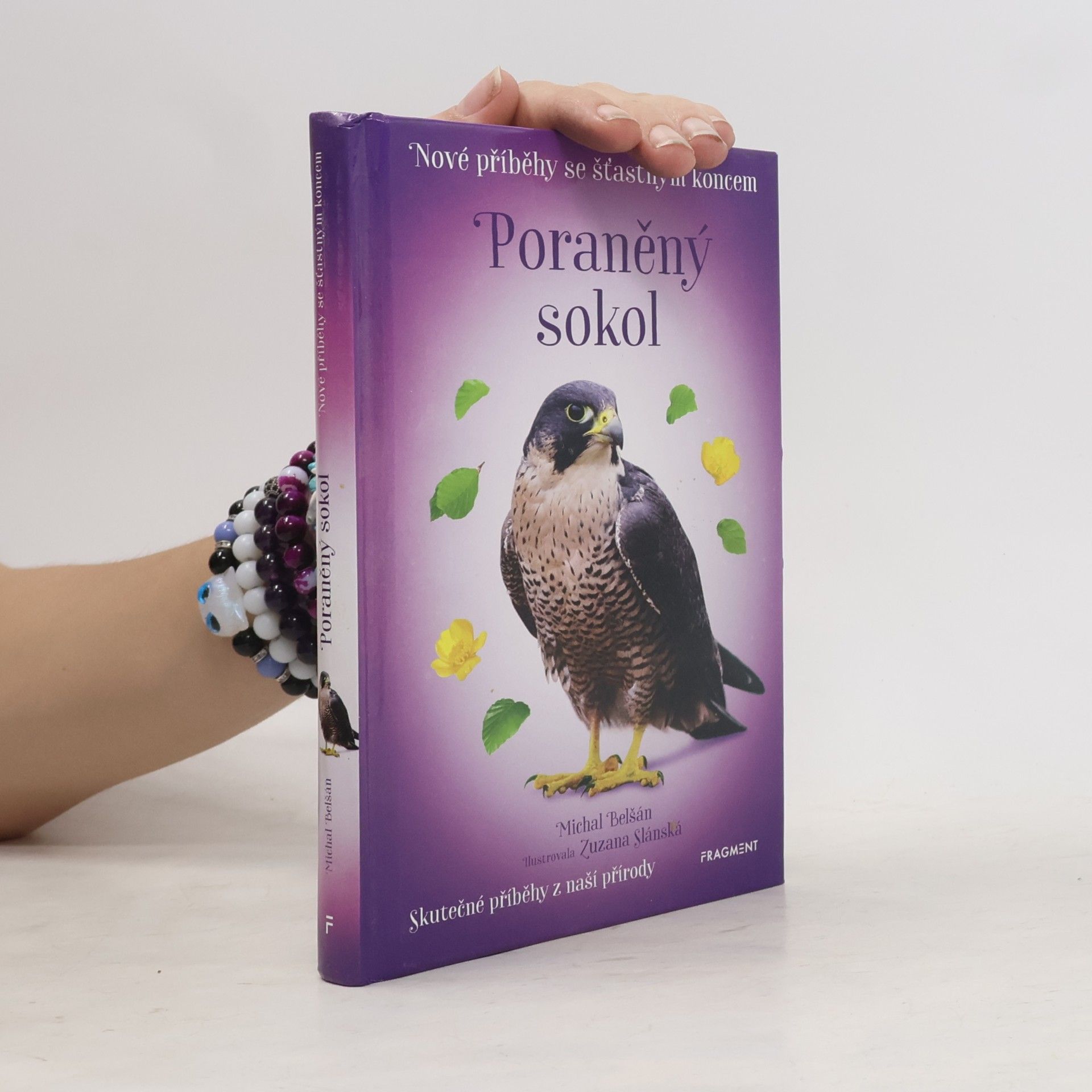 Michal Belšán Poraněný sokol