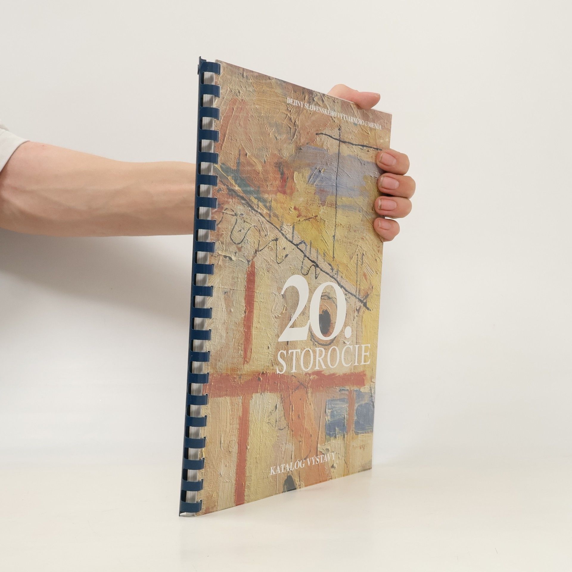 Dejiny slovenského výtvarného umenia: 20. storočie