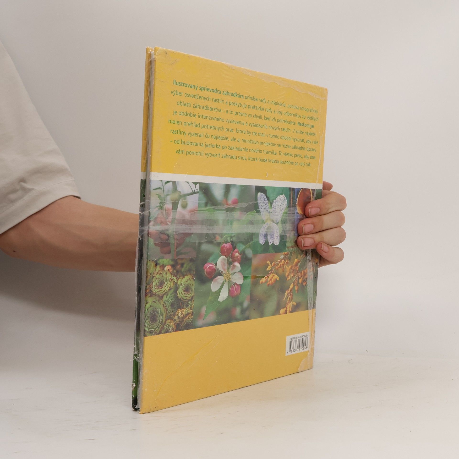 Autores varios Neskorá jar