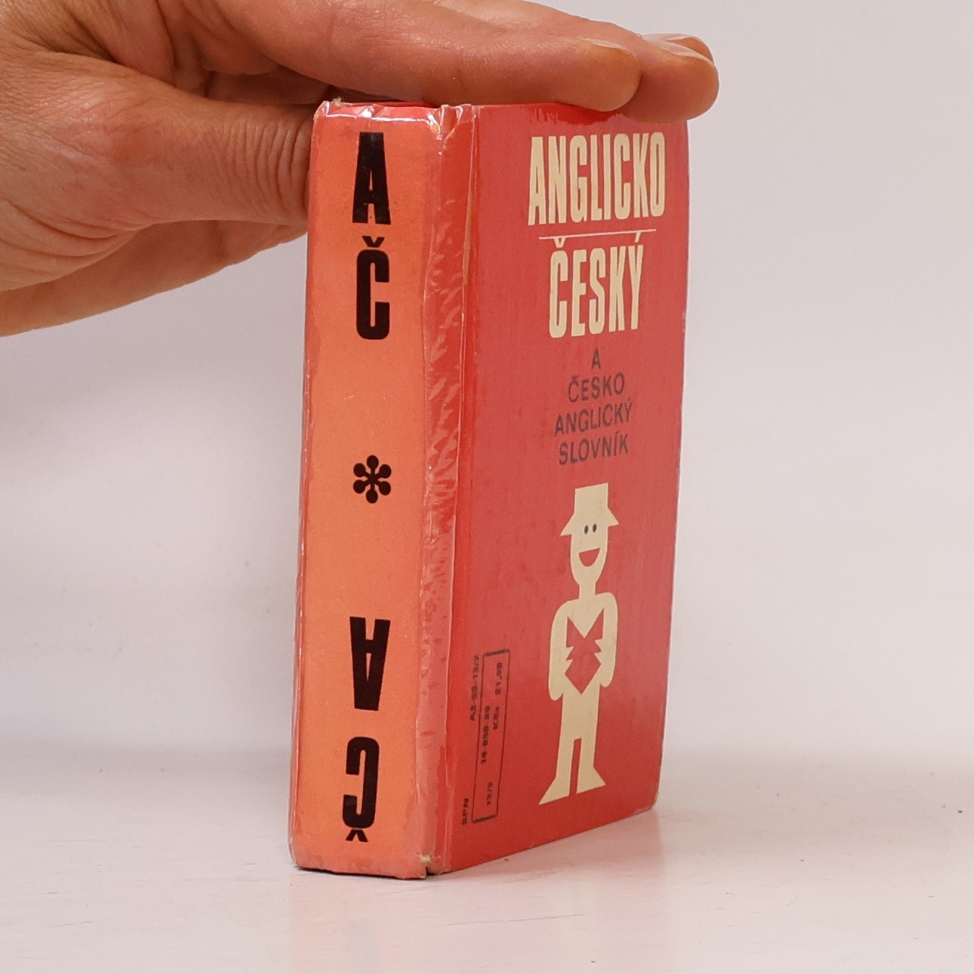 Autorenkollektiv Česko-anglický a anglicko-český slovník na cesty