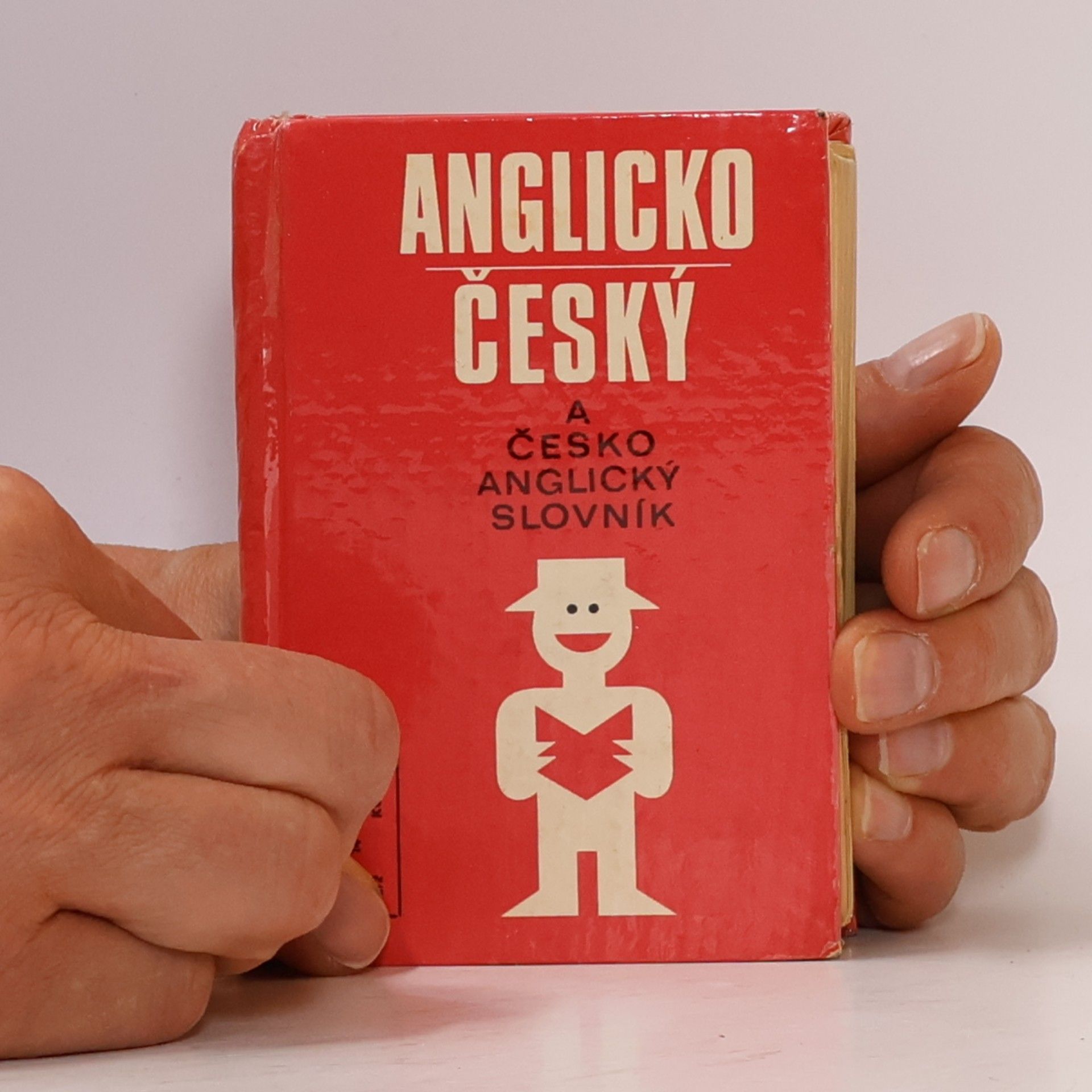 Autorenkollektiv Česko-anglický a anglicko-český slovník na cesty