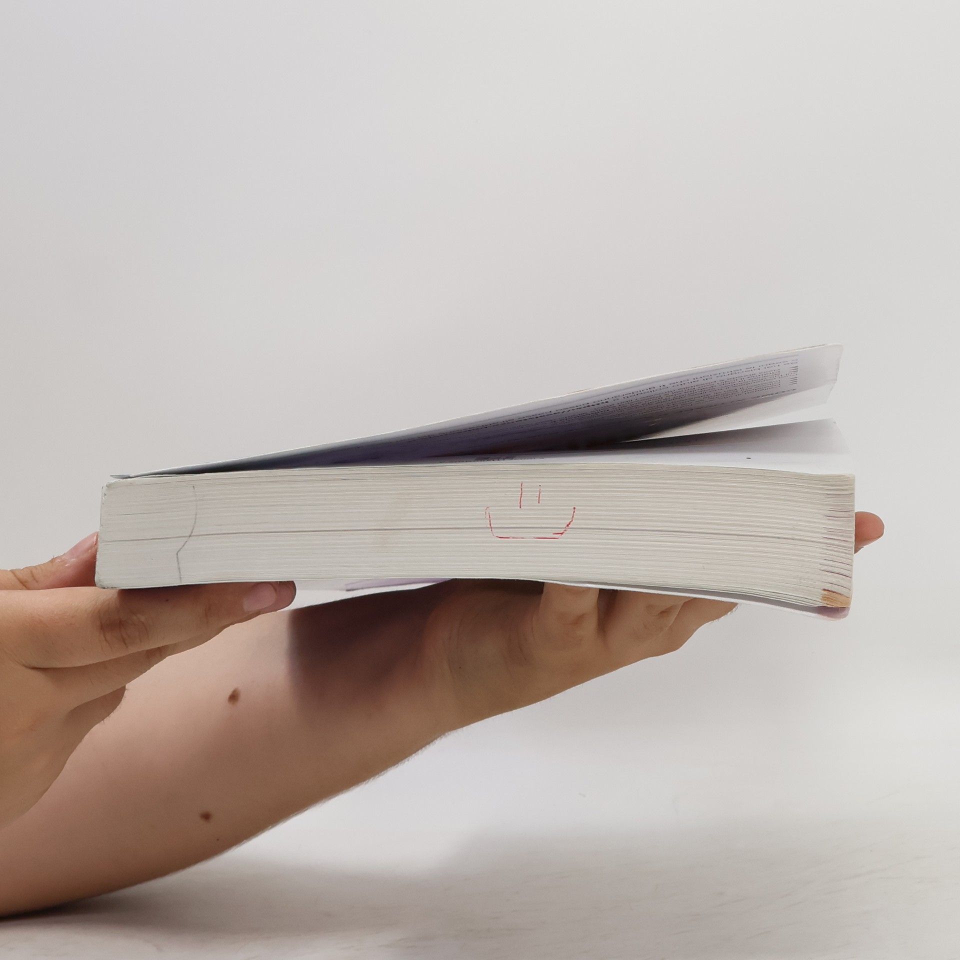A. Roncoroni La mia nuova letteratura