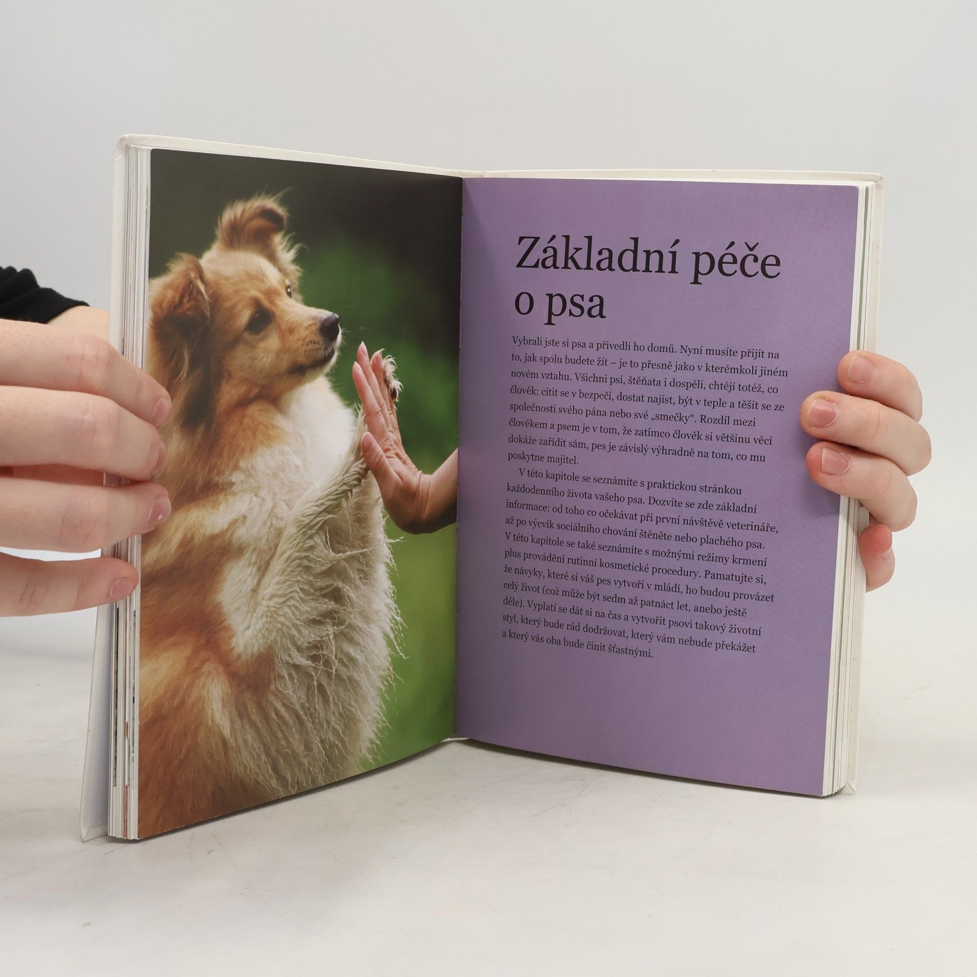 Sophie Collins Pečuj o svého psa