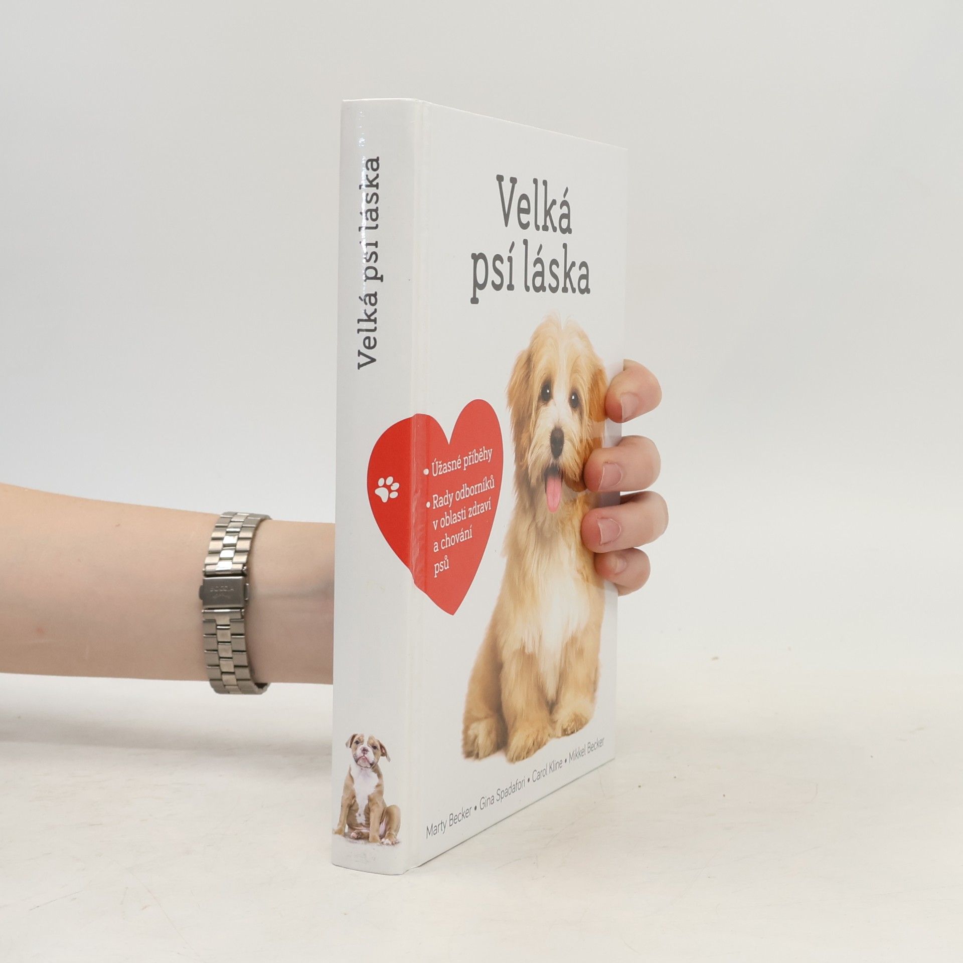 Velká psí láska: Příběhy, rady a úžasné fotografie psích bytostí