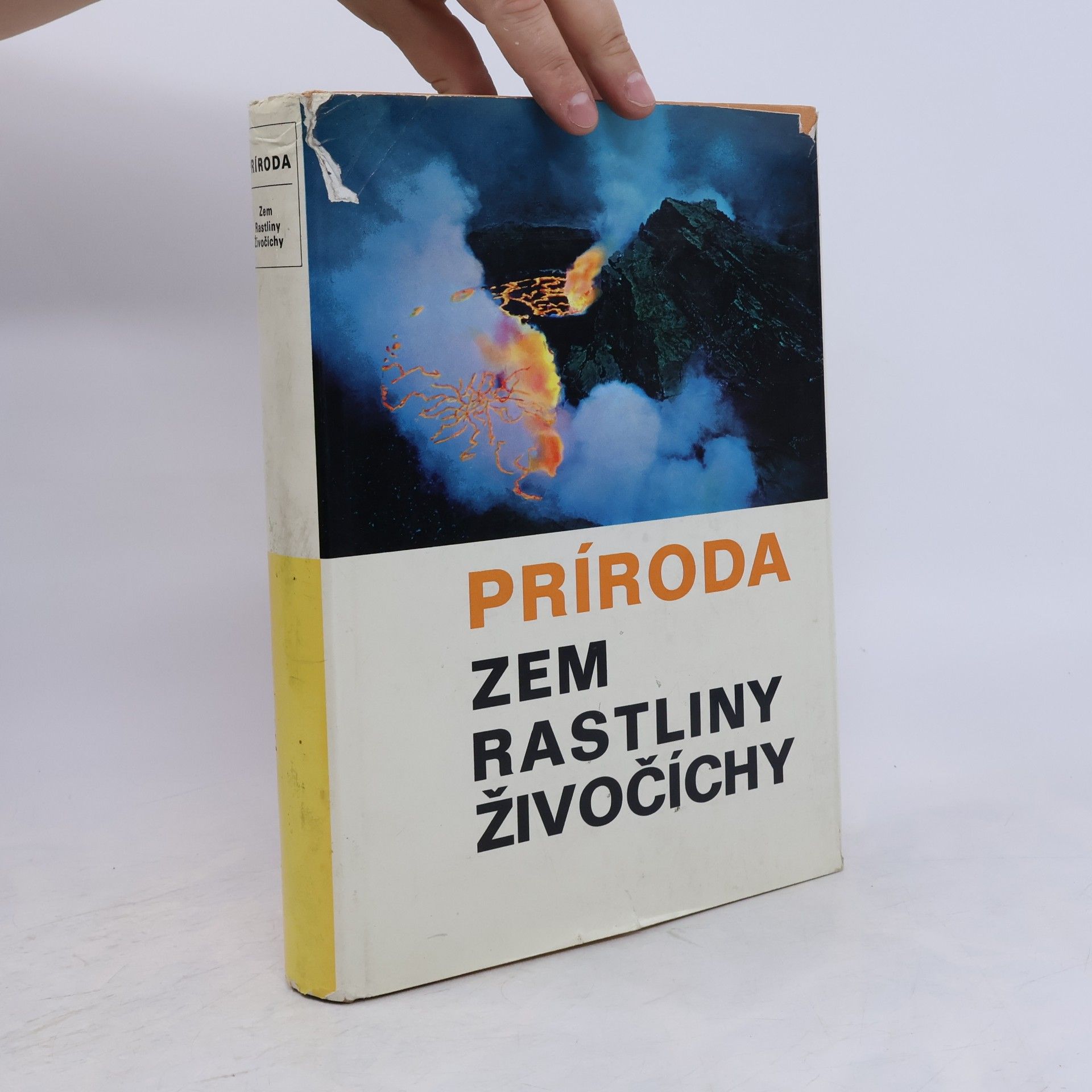 Príroda. Zem, rastliny, živočíchy
