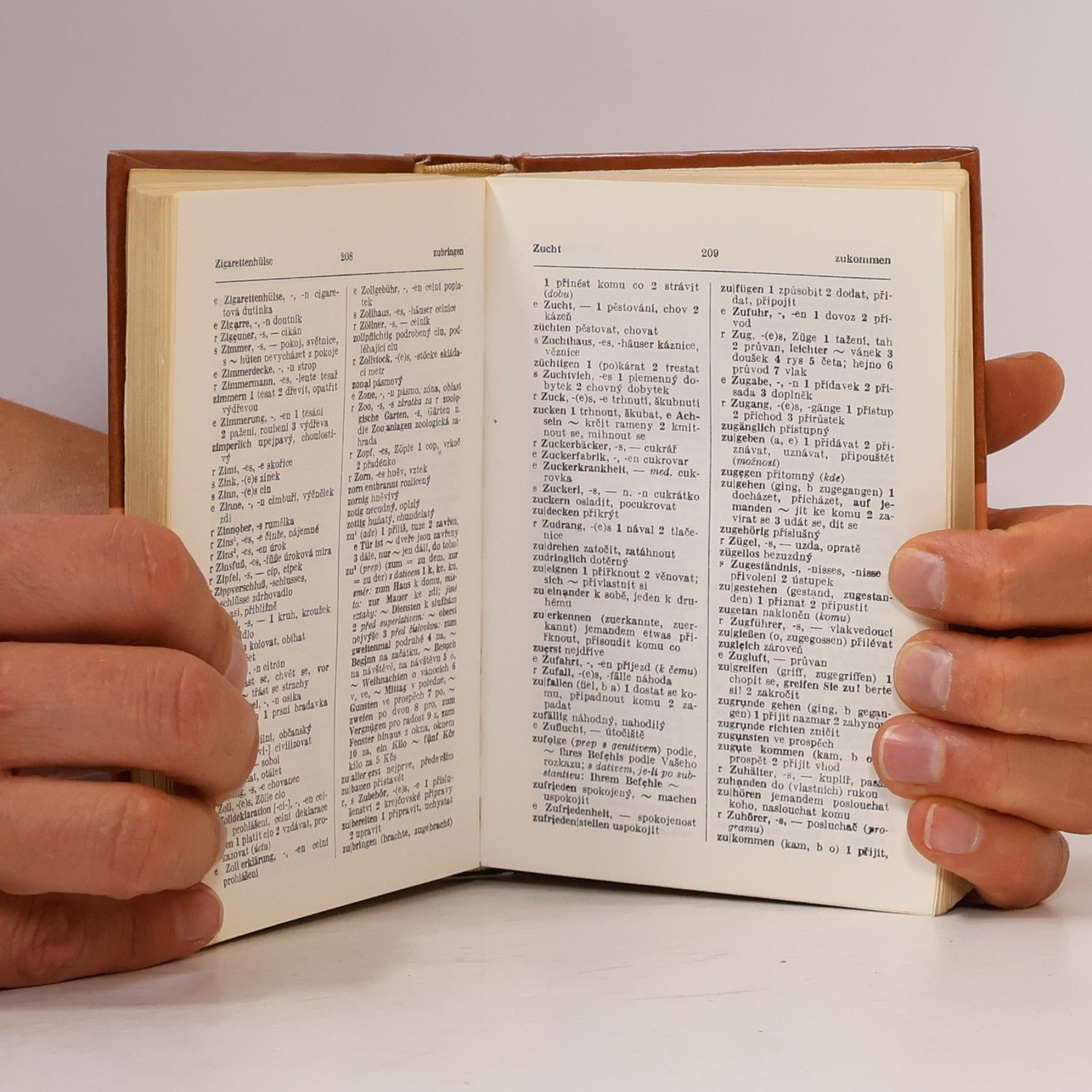 Autorenkollektiv Německo-český a česko-německý kapesní slovník