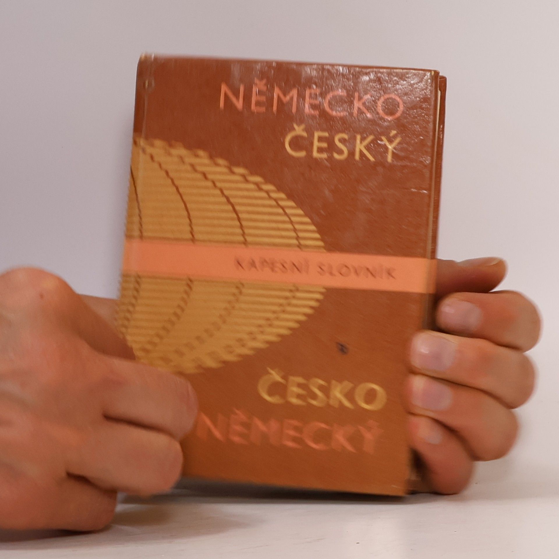 Autorenkollektiv Německo-český a česko-německý kapesní slovník