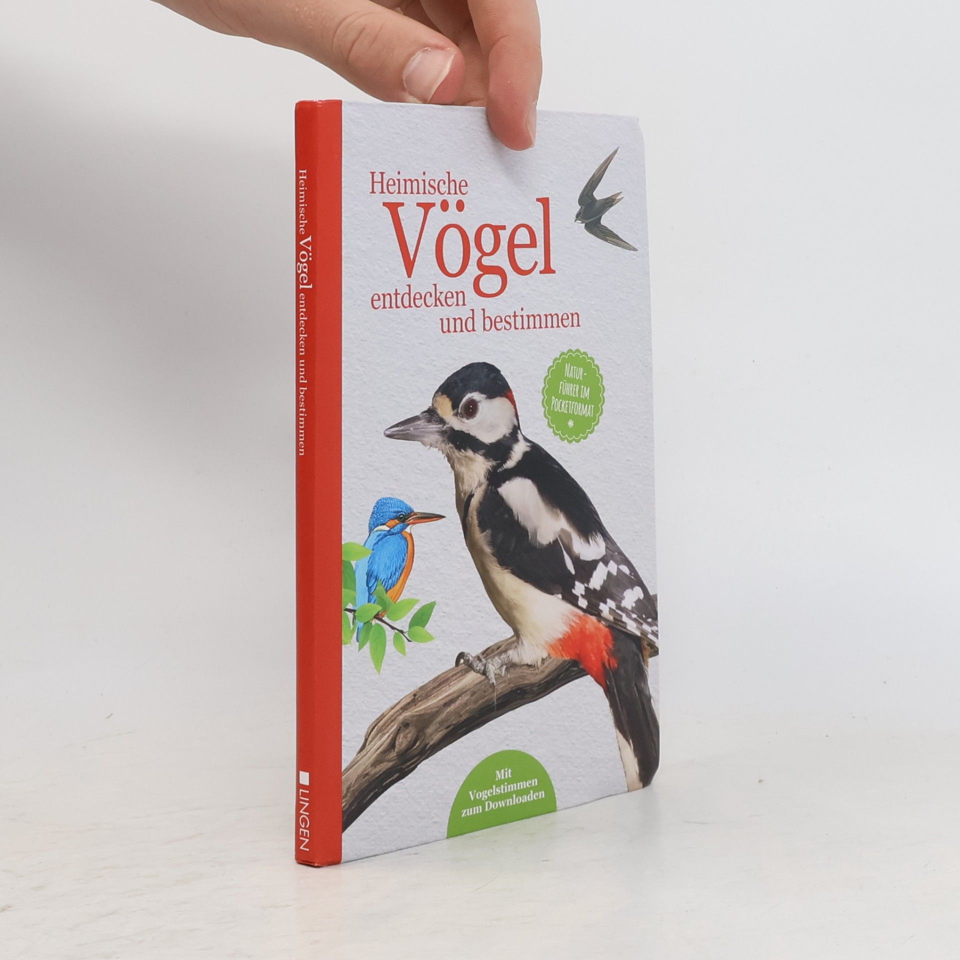Kolektiv autorů Heimische Vögel entdecken und bestimmen