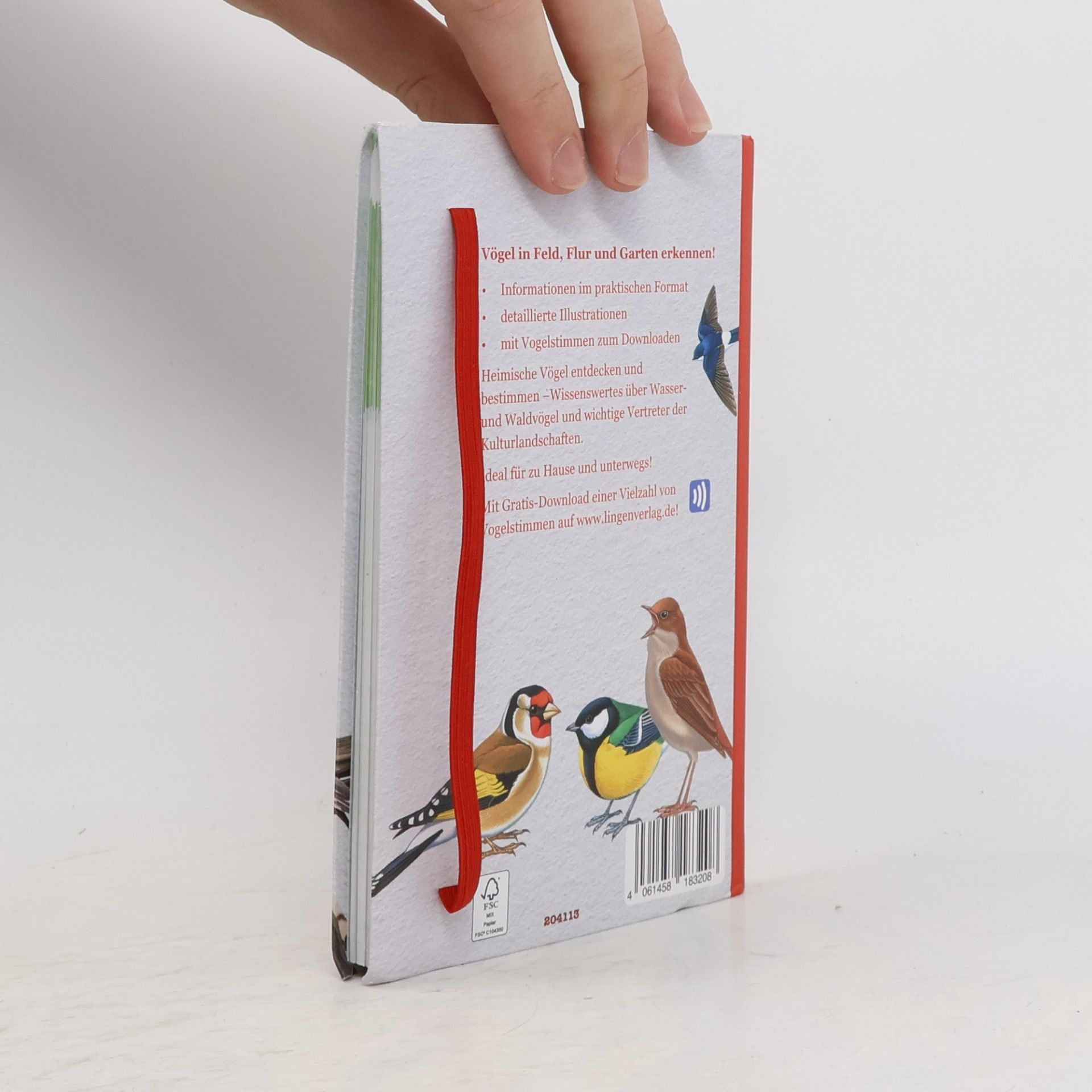 Autores varios Heimische Vögel entdecken und bestimmen