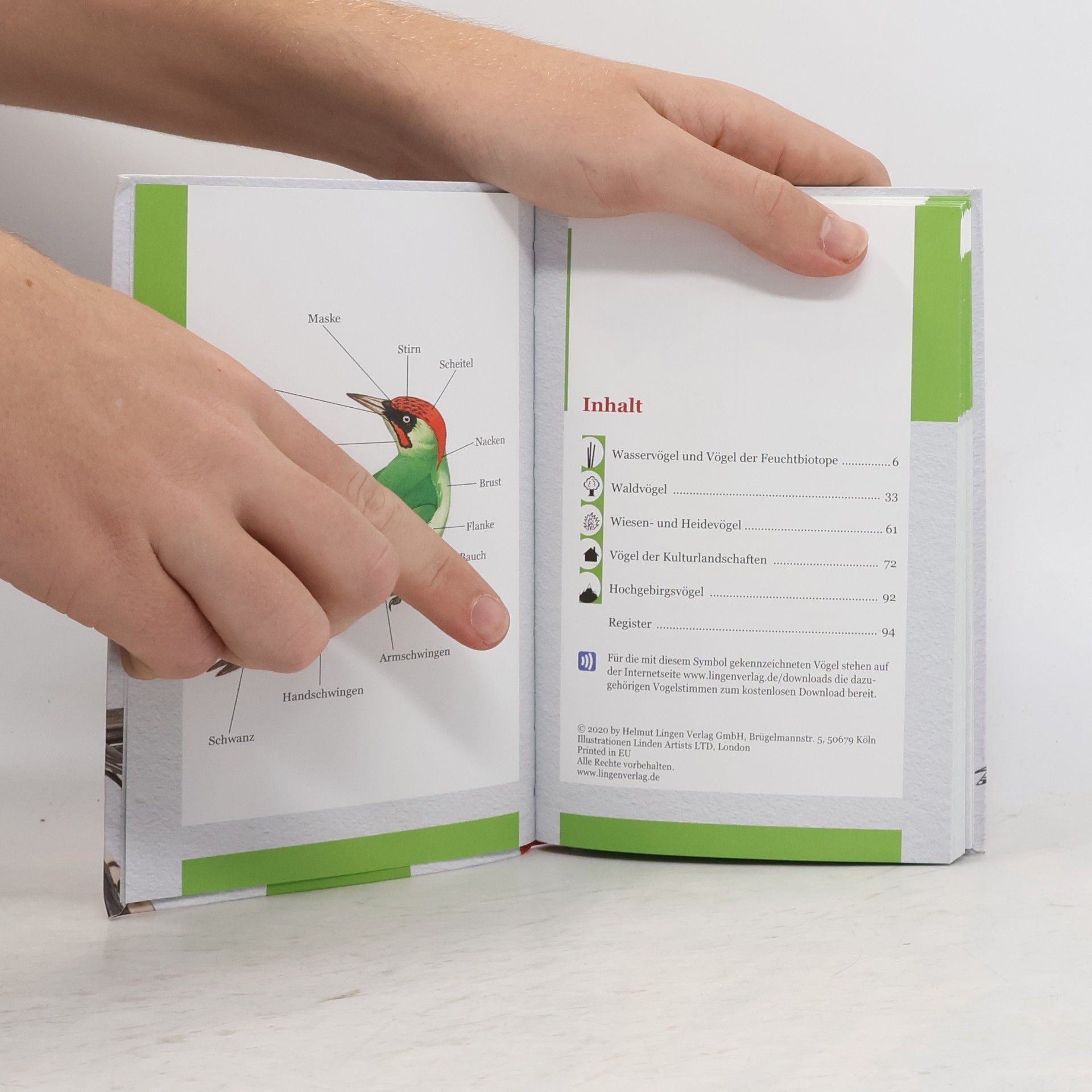 Autores varios Heimische Vögel entdecken und bestimmen