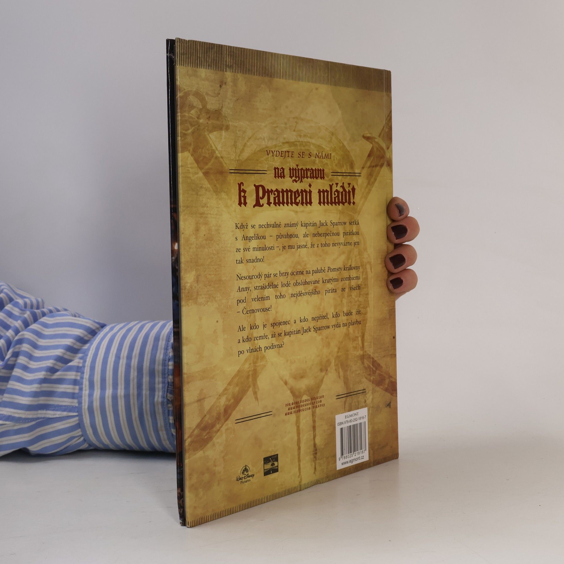 Collectif d'auteurs Piráti z Karibiku: Na vlnách podivna
